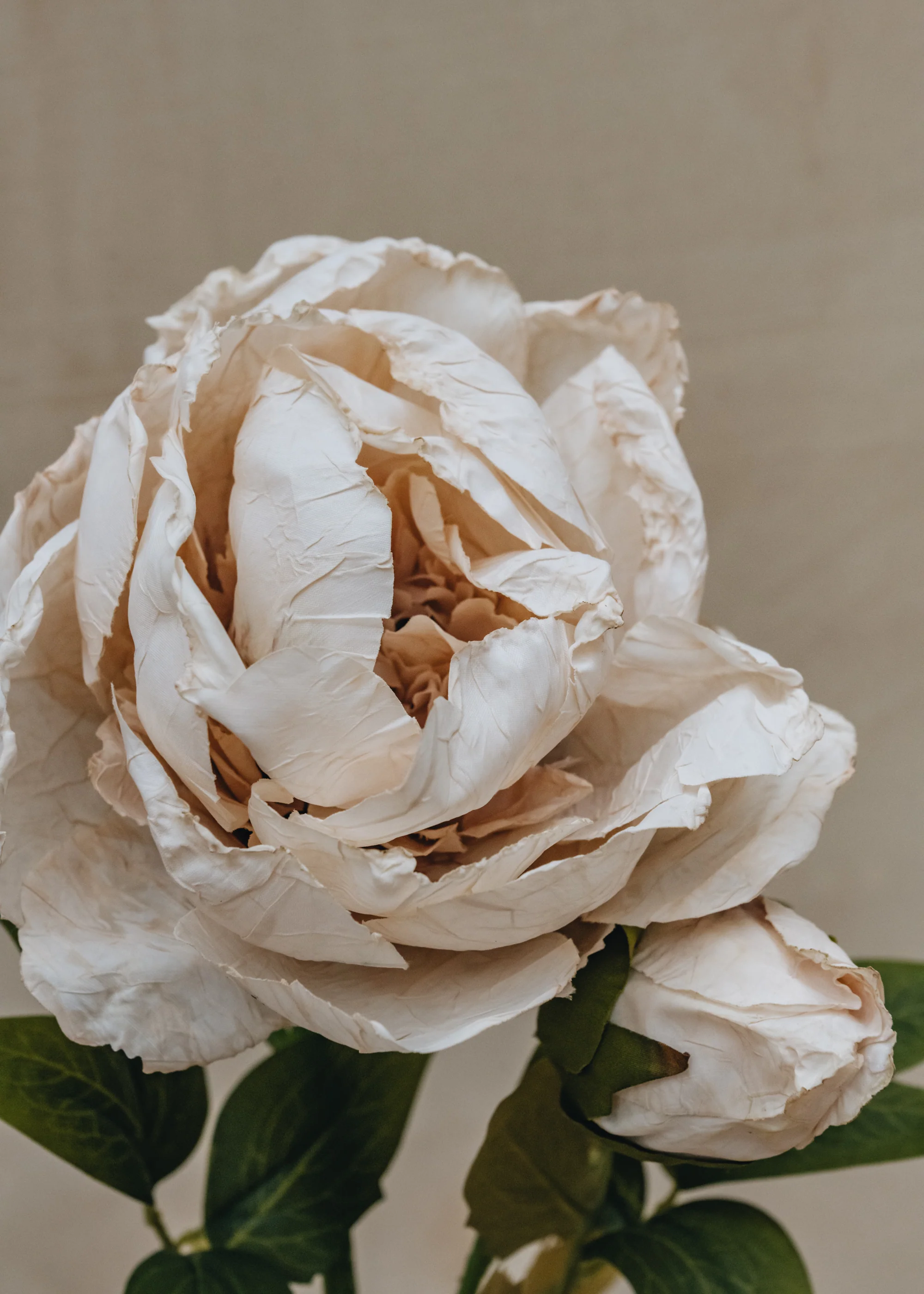 Artificial Single Peony in White - Image 2