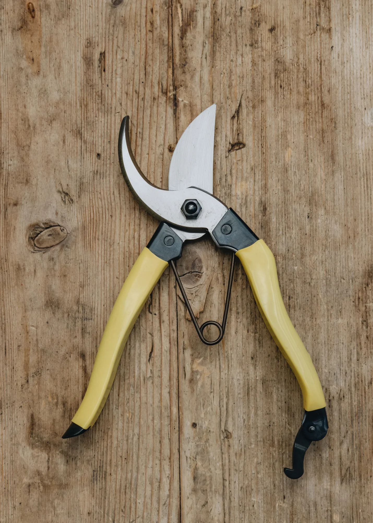 Mainichi Secateurs - Image 2