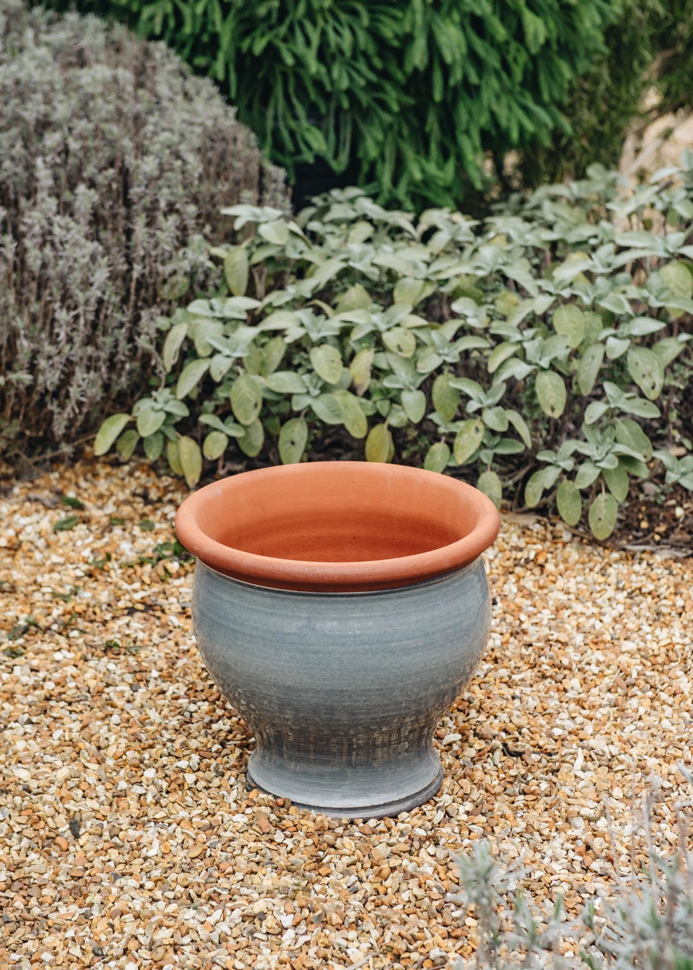Medium Bellied Planters - Image 4