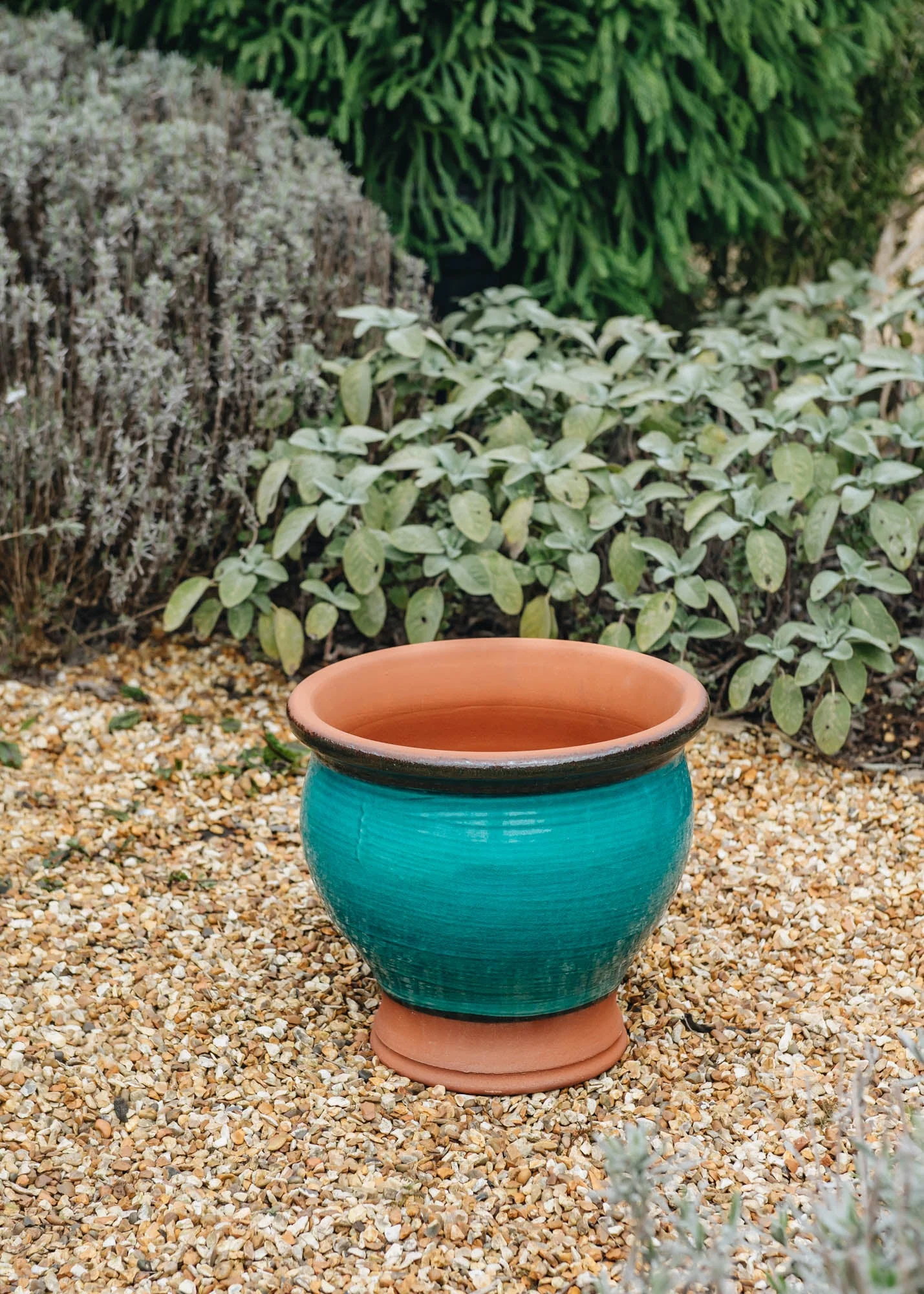 Medium Bellied Planters - Image 5