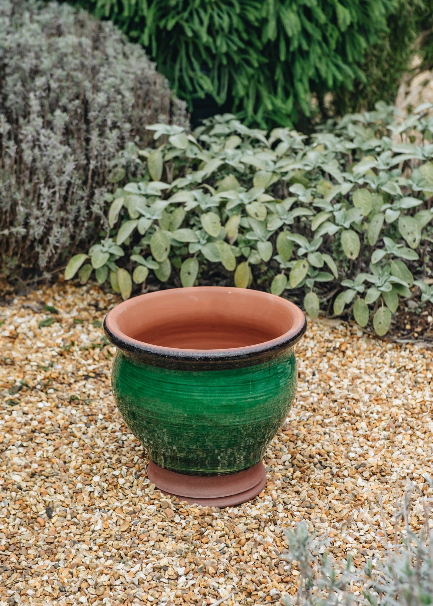 Medium Bellied Planters - Image 6