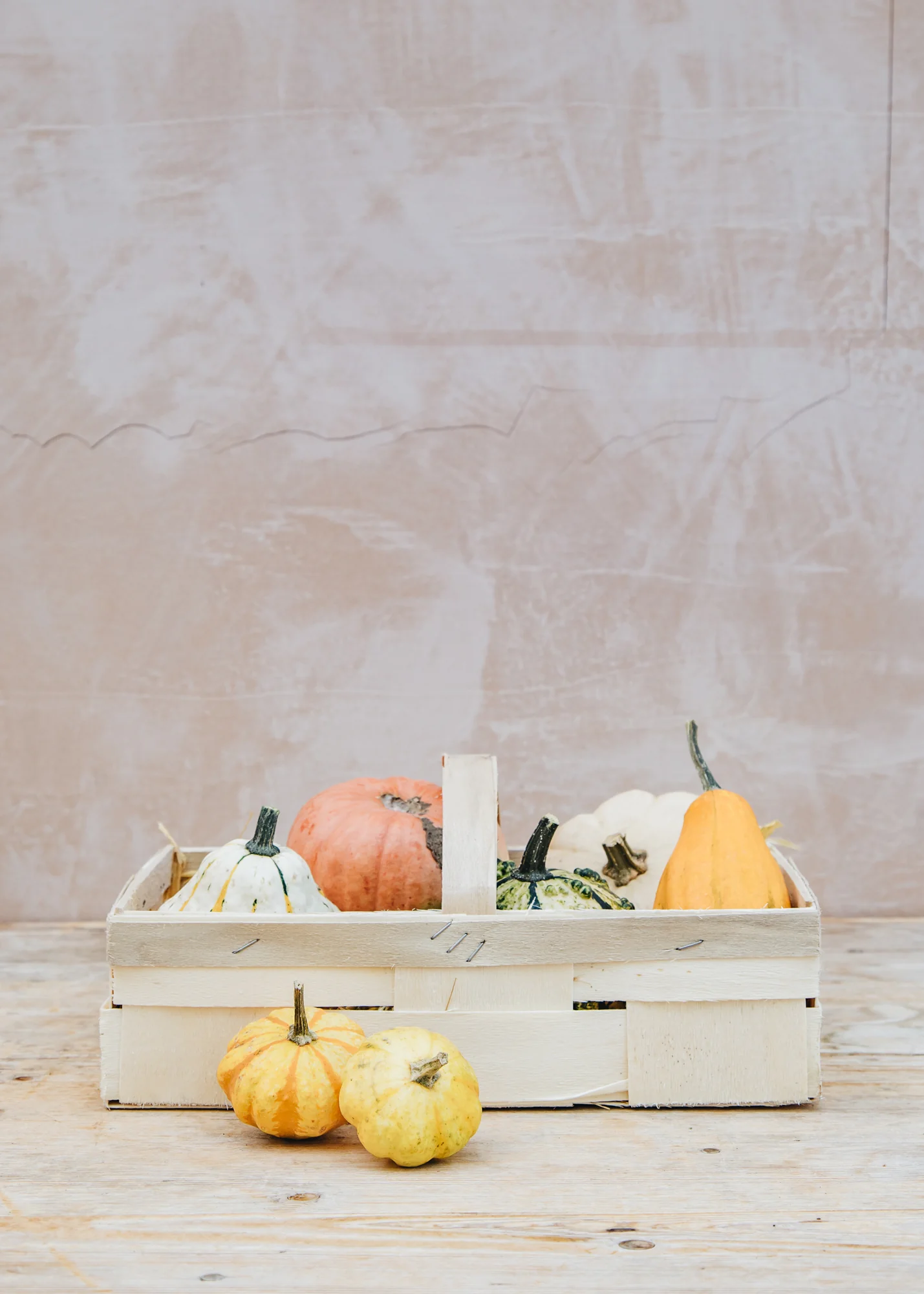 Mixed Ornamental Gourd Collection in Basket