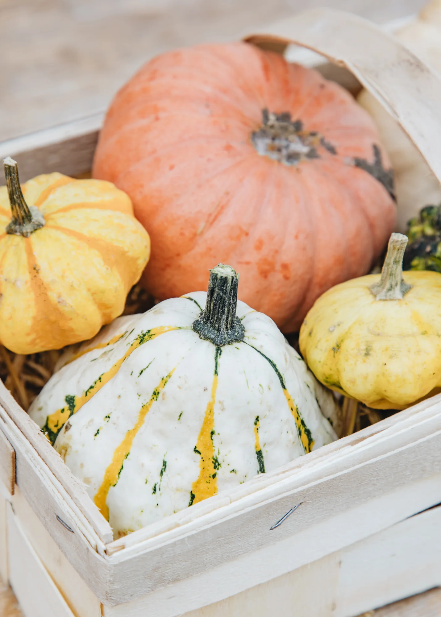 Mixed Ornamental Gourd Collection in Basket - Image 2