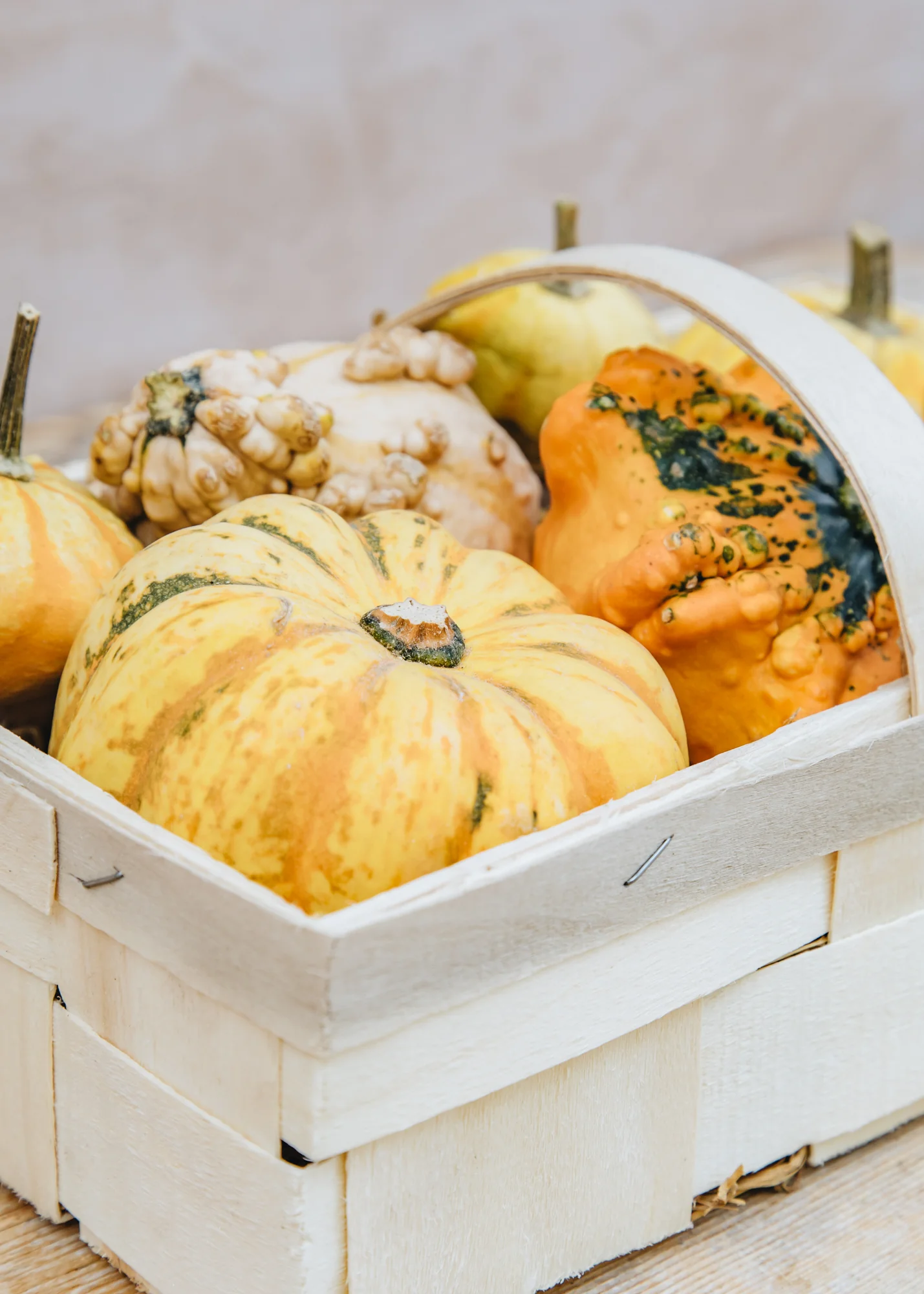 Mixed Ornamental Gourd Collection in Basket - Image 3