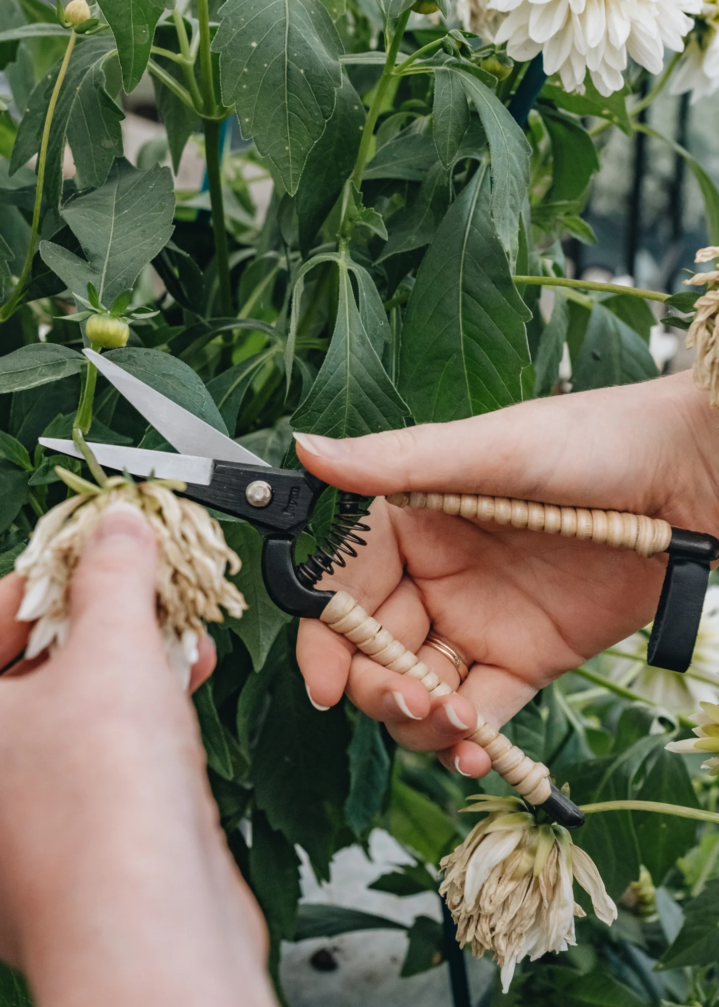 Rattan Snips - Image 4