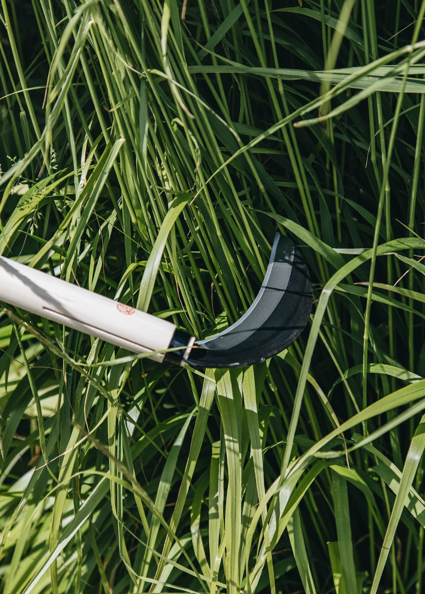 Sickle - Image 3