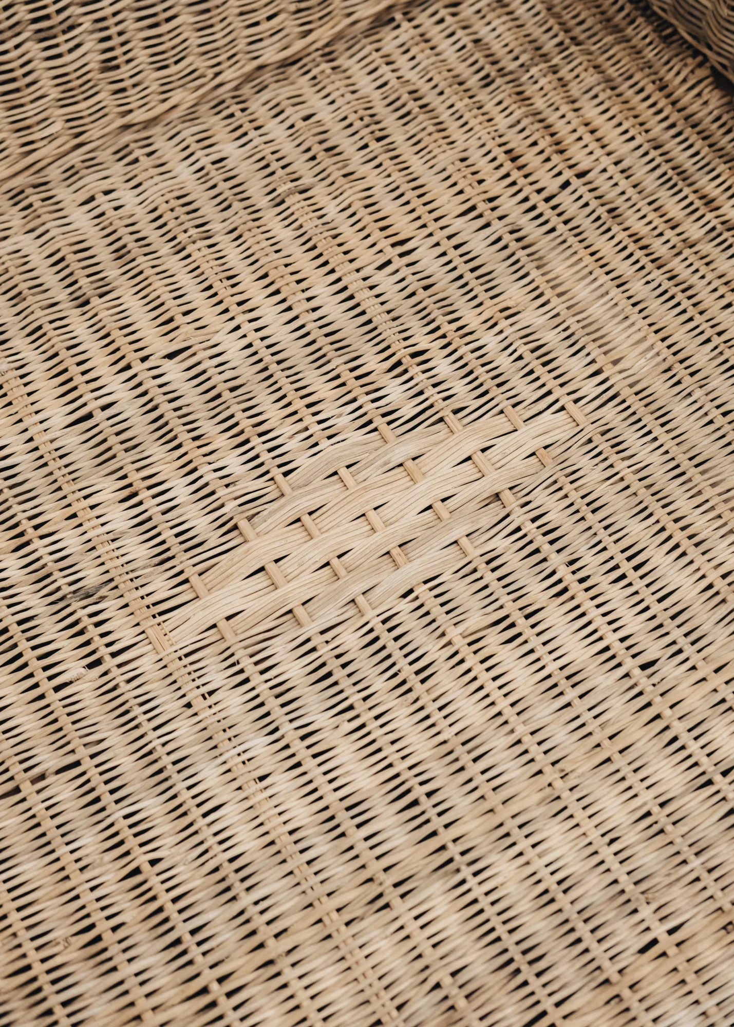 Nzuri Relaxed Cane One Seater Sofa - Image 5