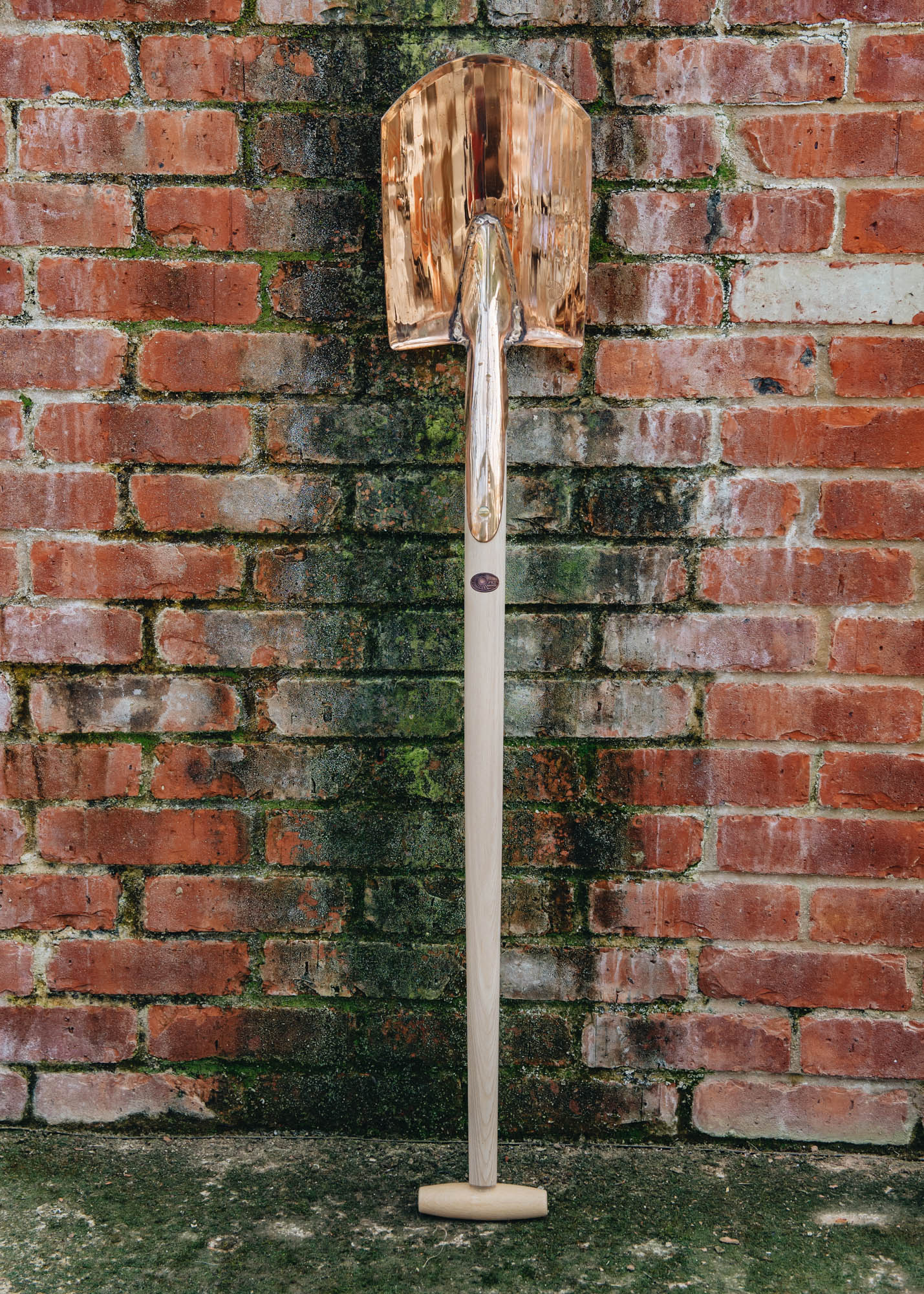 Orion T-Handled Spade - Image 2