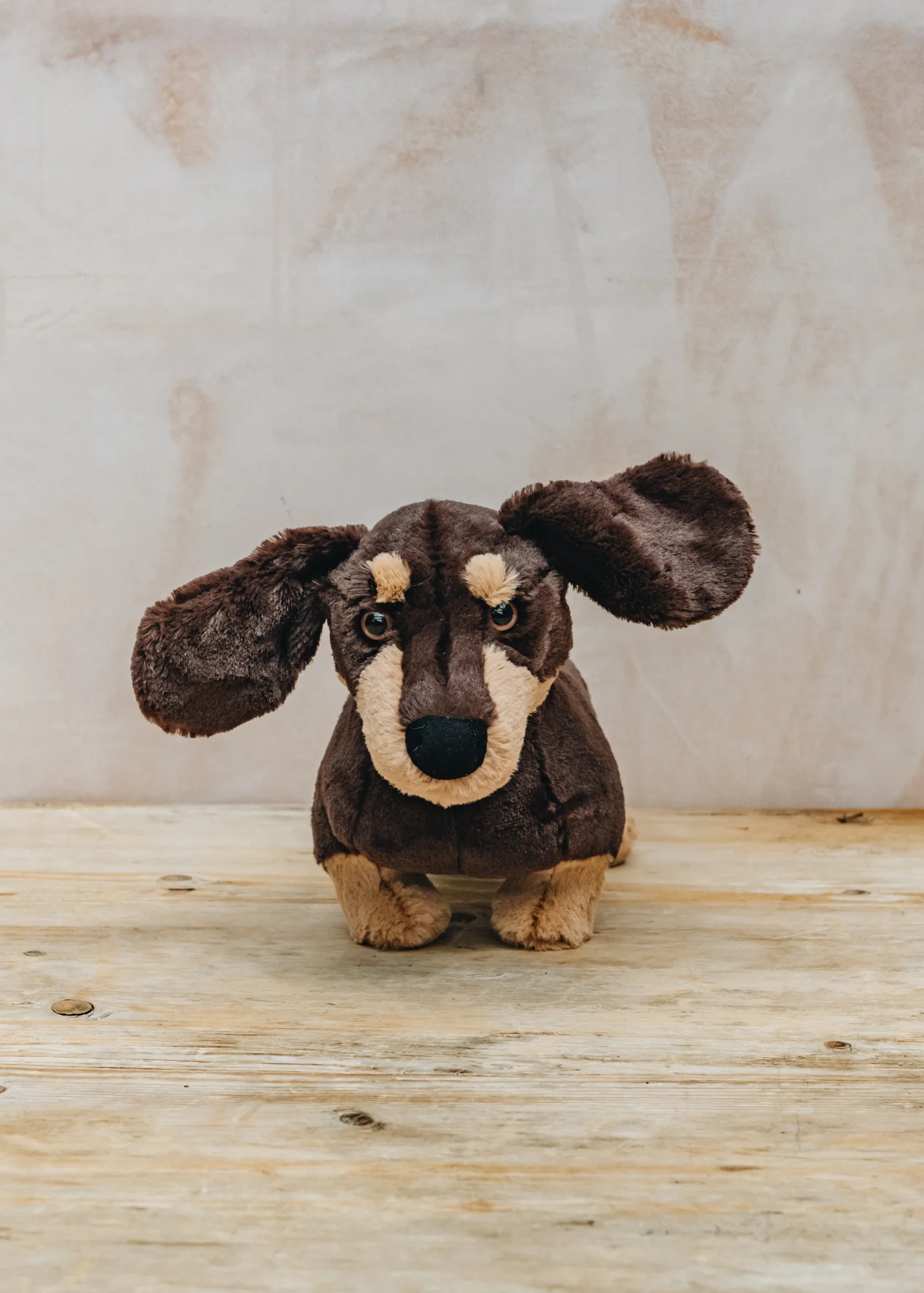 Otto the Sausage Dog - Image 2
