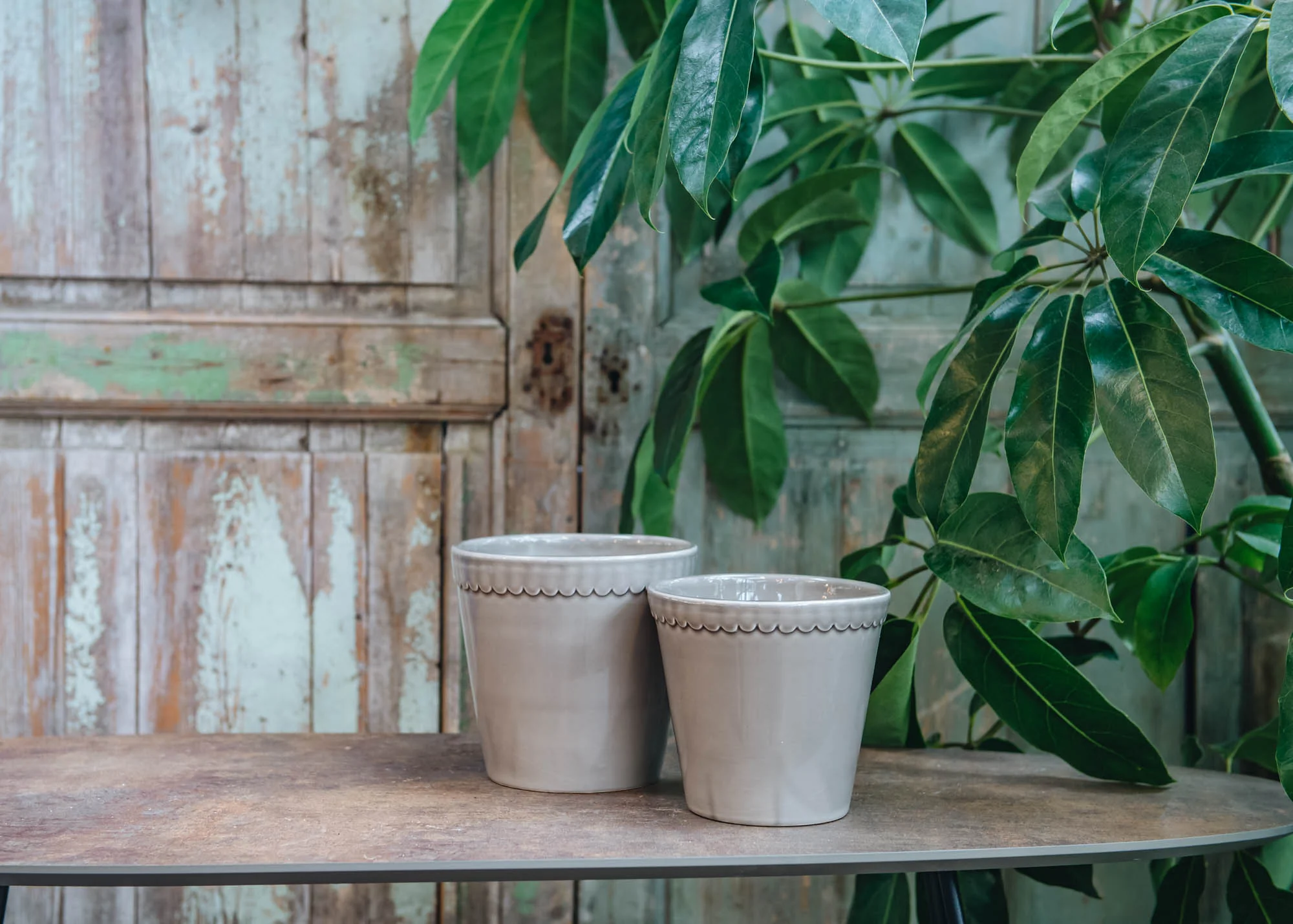 Pearl Grey Helena Pots