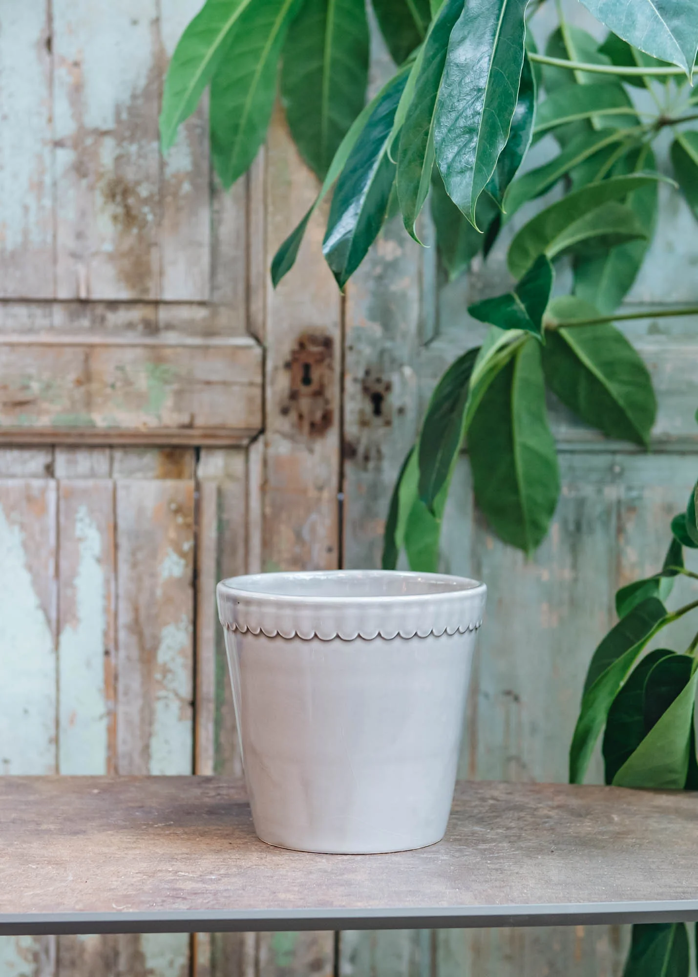 Pearl Grey Helena Pots - Image 3