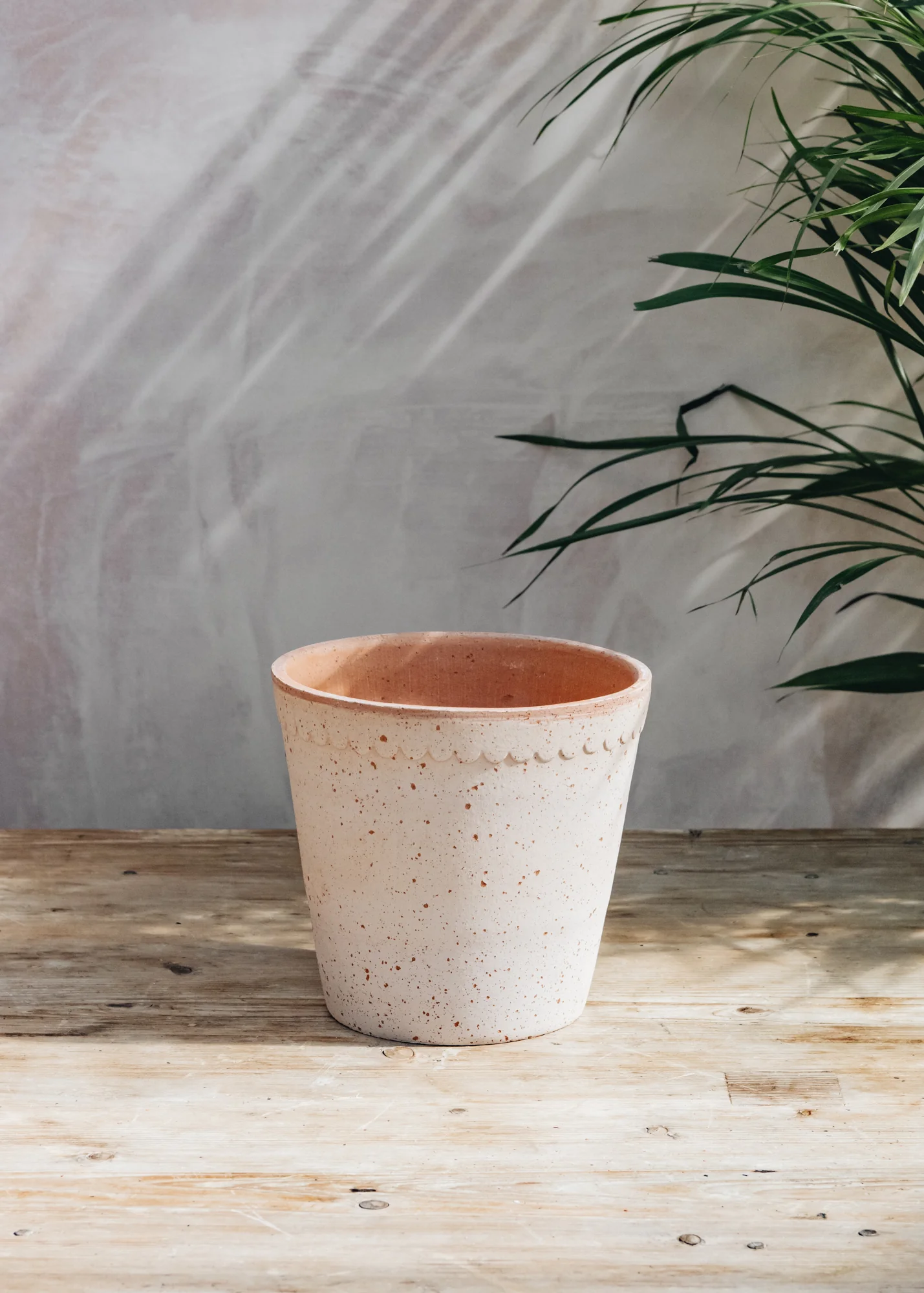 Rosa Helena Pots - Image 5