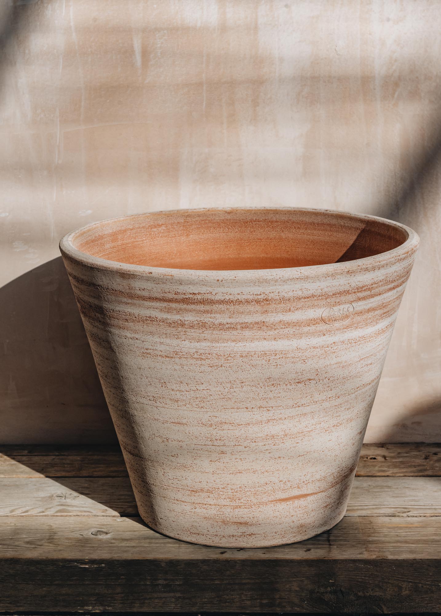 Rosa Julie Pots 35cm+ - Image 4