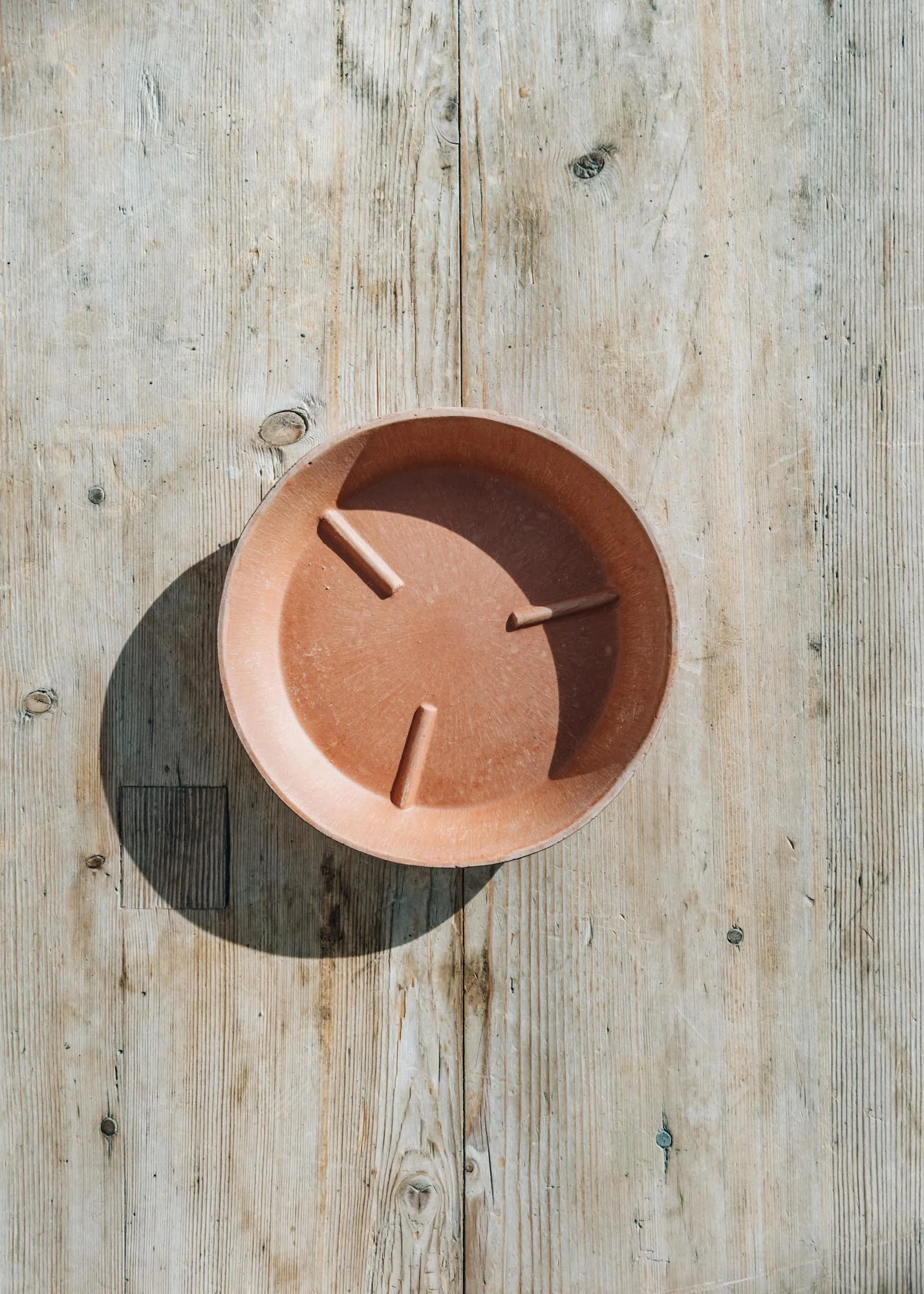 Rosa Julie Saucers - Image 3