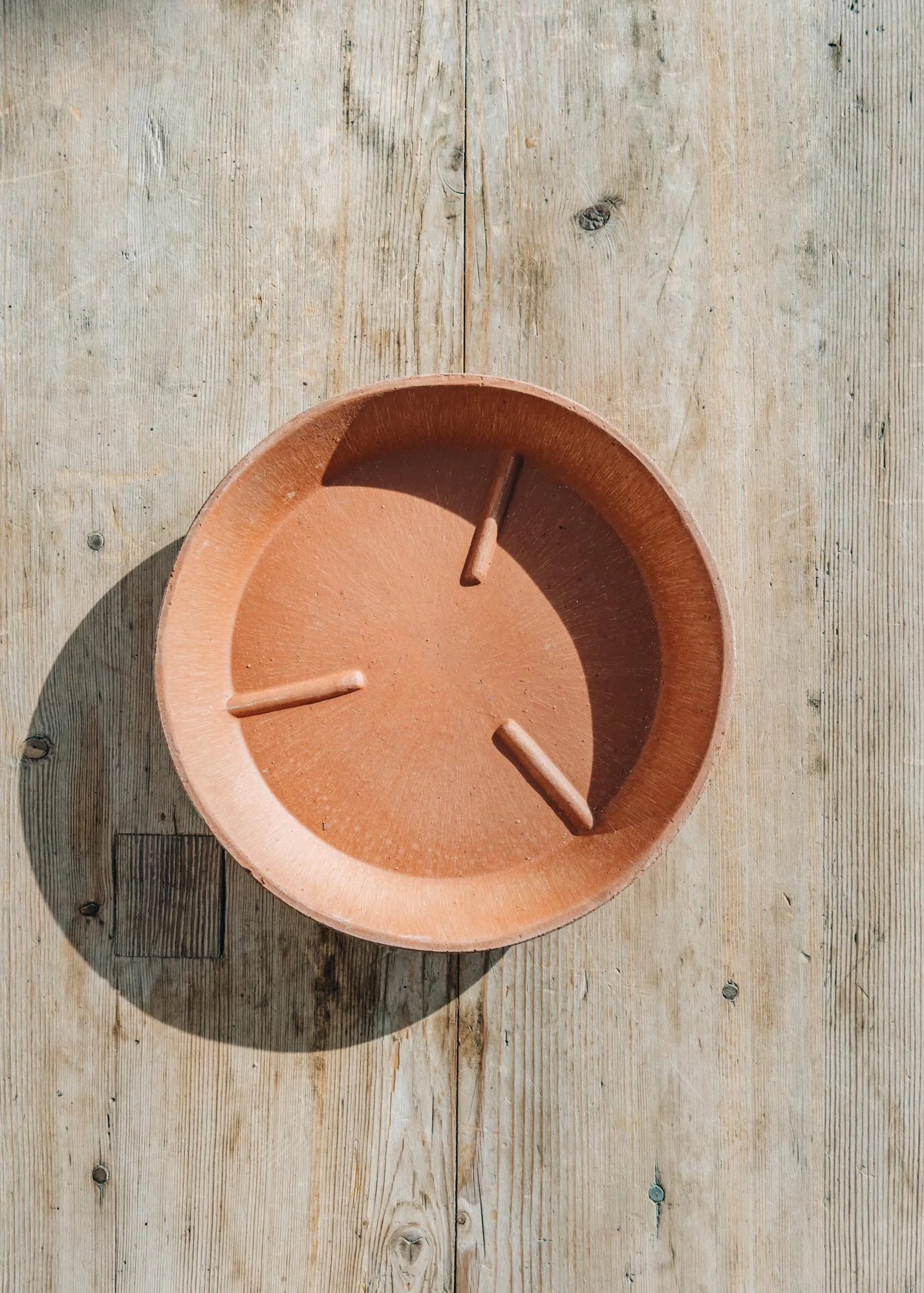 Rosa Julie Saucers - Image 4