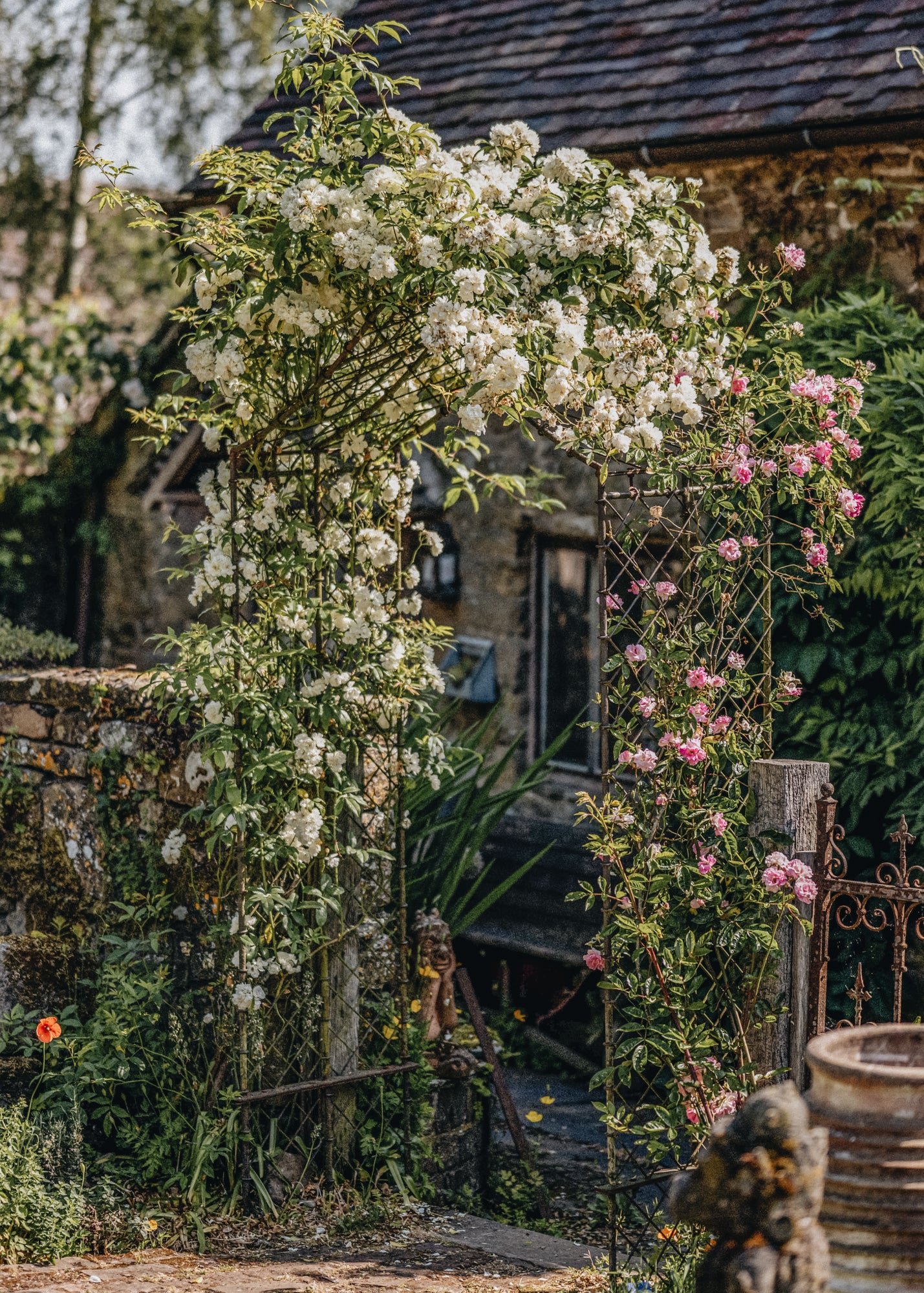 Rustic Rose Arch