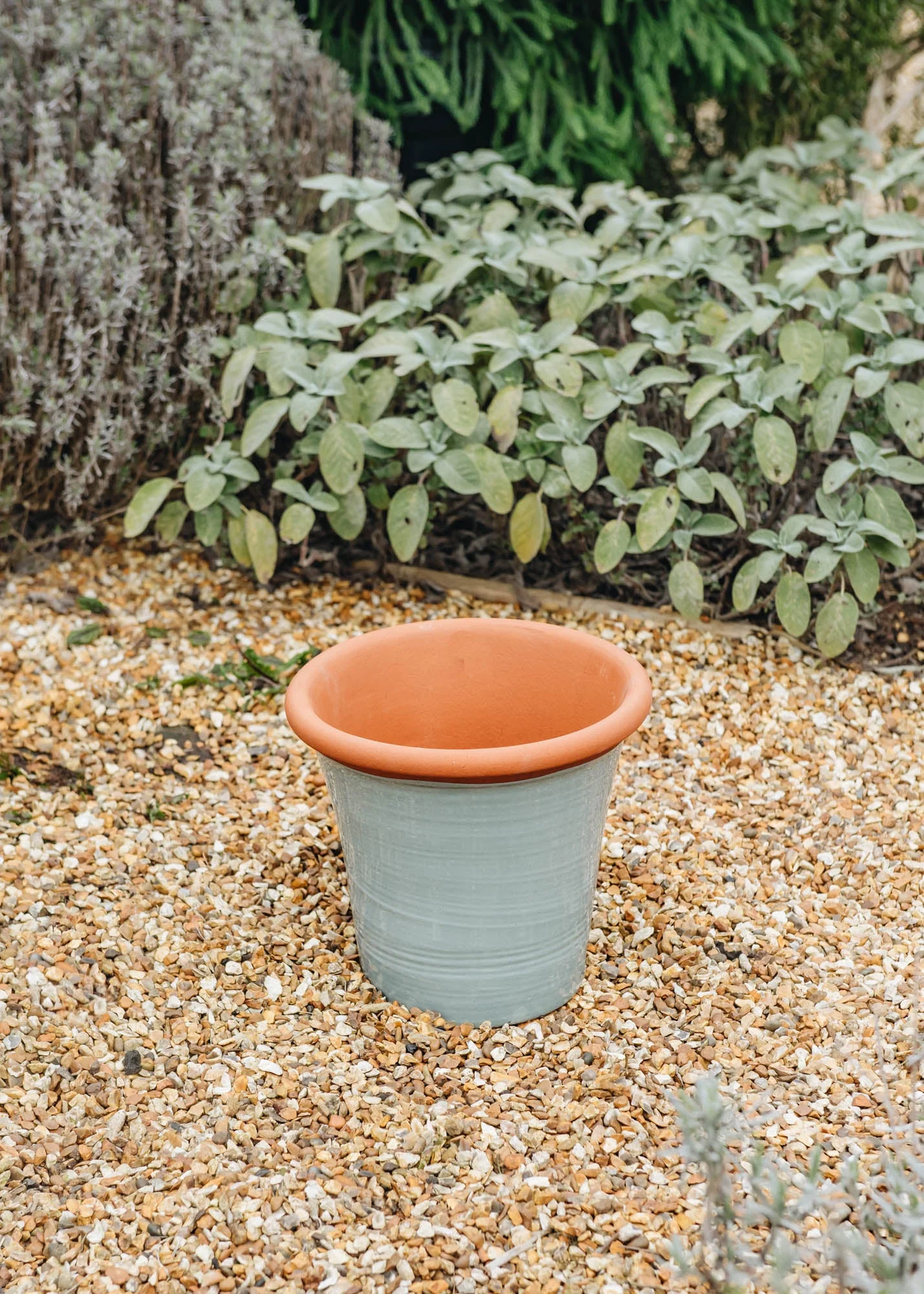 Small Kitchen Planters - Image 3