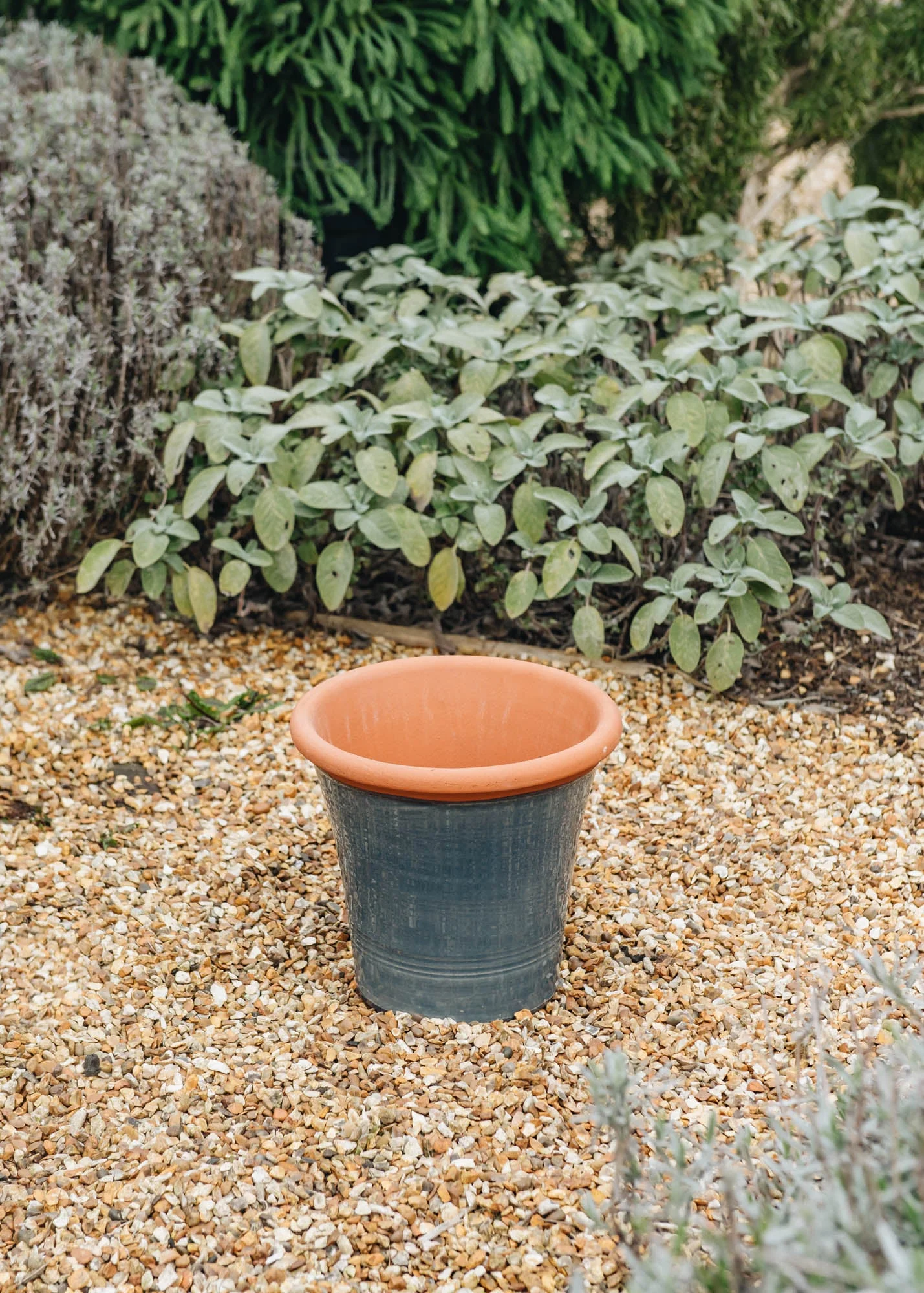 Small Kitchen Planters - Image 4