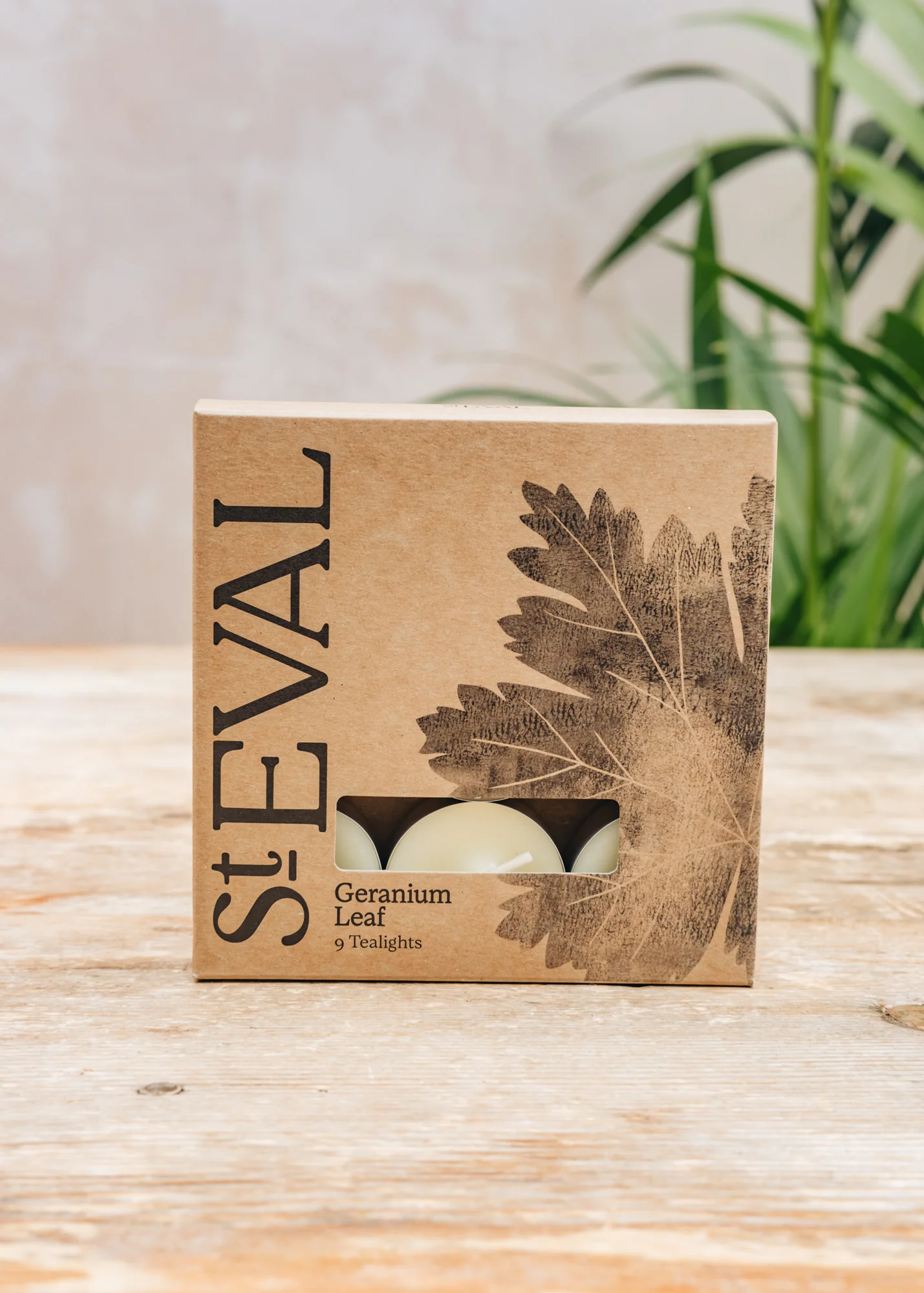 Geranium Leaf Tealight Candles