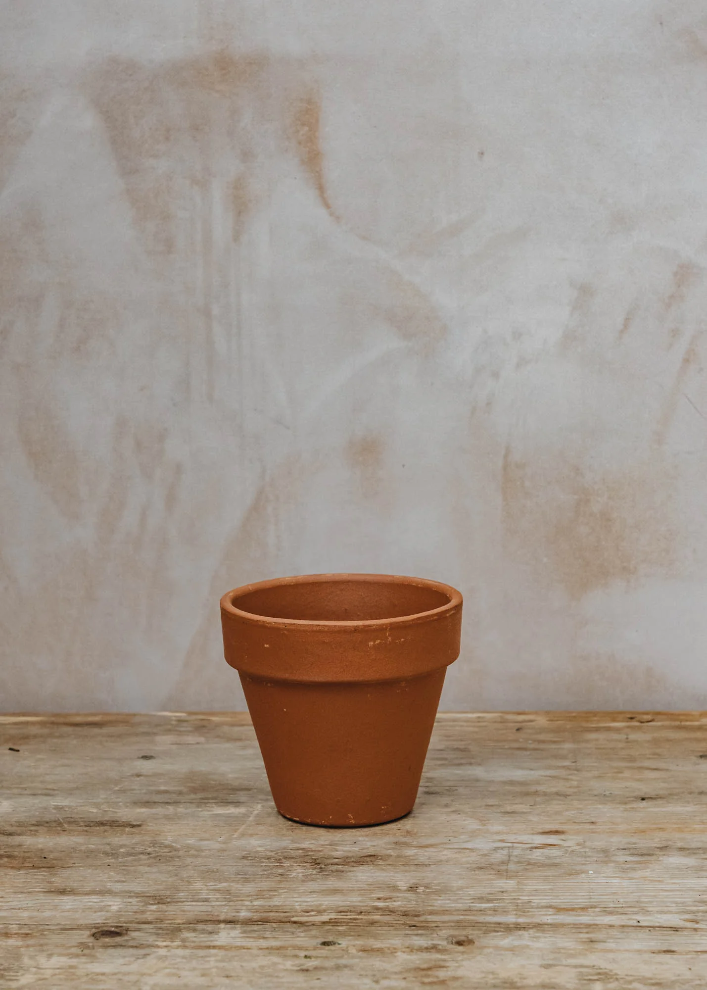 Standard Cotto Terracotta Pot - Image 4