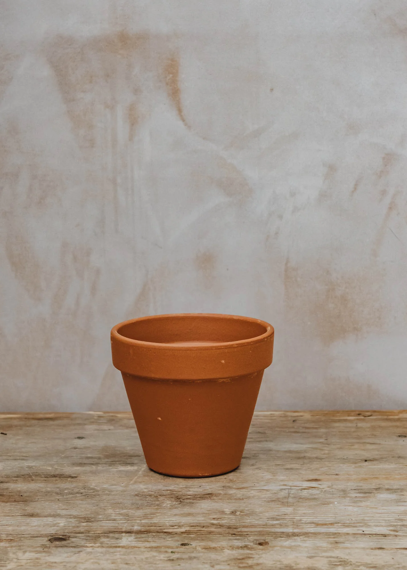 Standard Cotto Terracotta Pot - Image 5