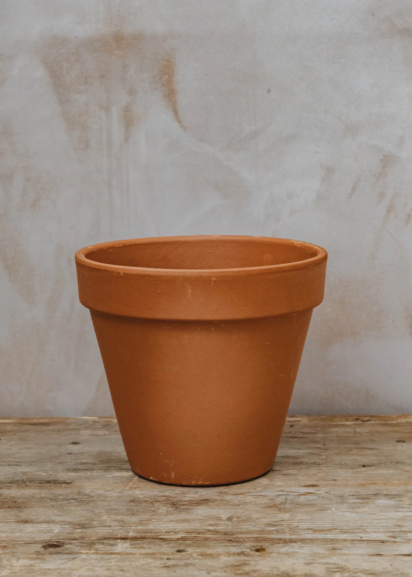 Standard Cotto Terracotta Pot - Image 6