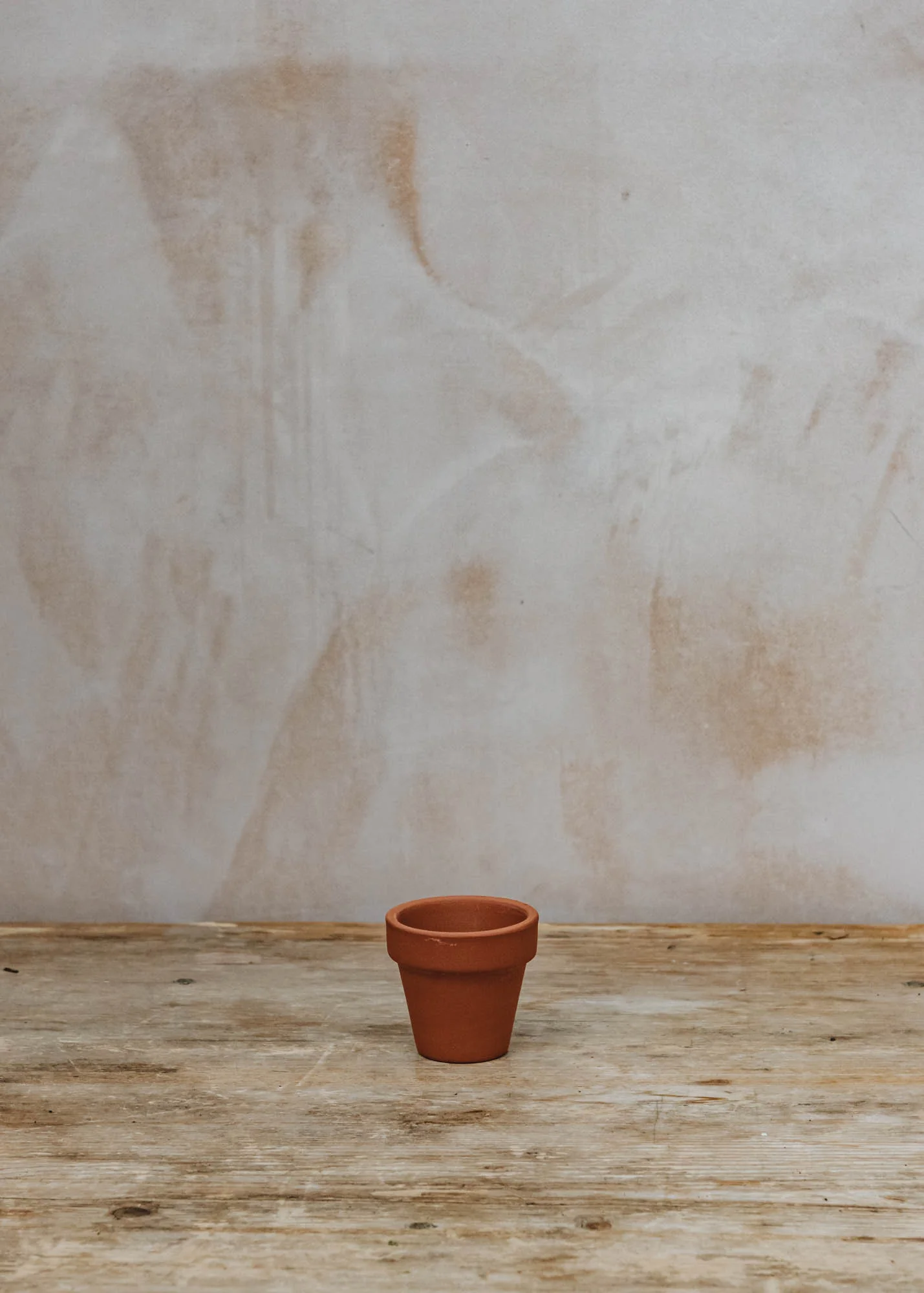 Standard Cotto Terracotta Pot - Image 7