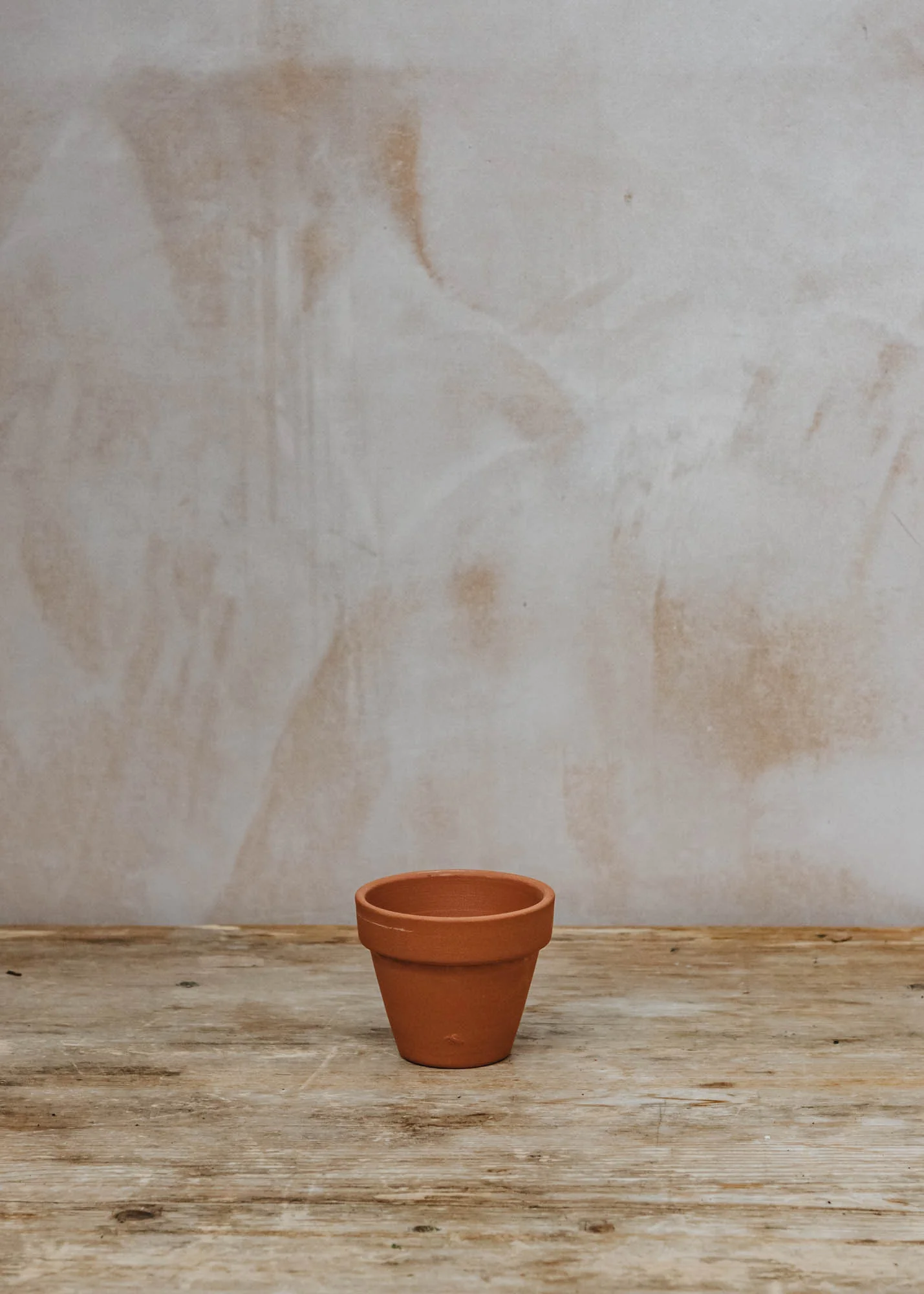 Standard Cotto Terracotta Pot - Image 8