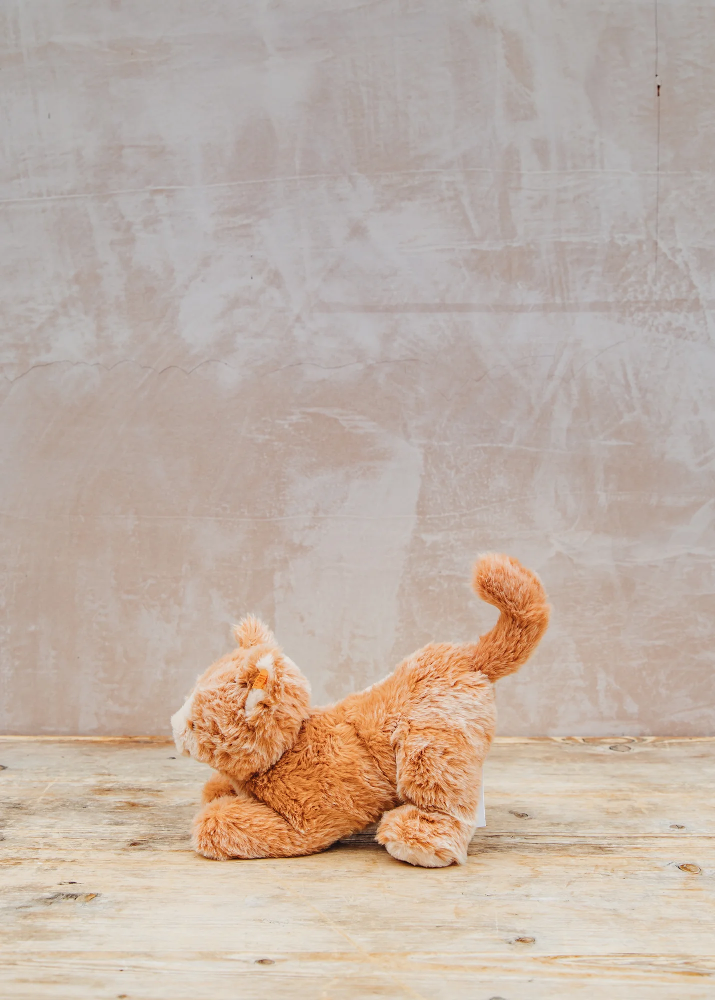 Cassie Cat in Reddish - Image 2