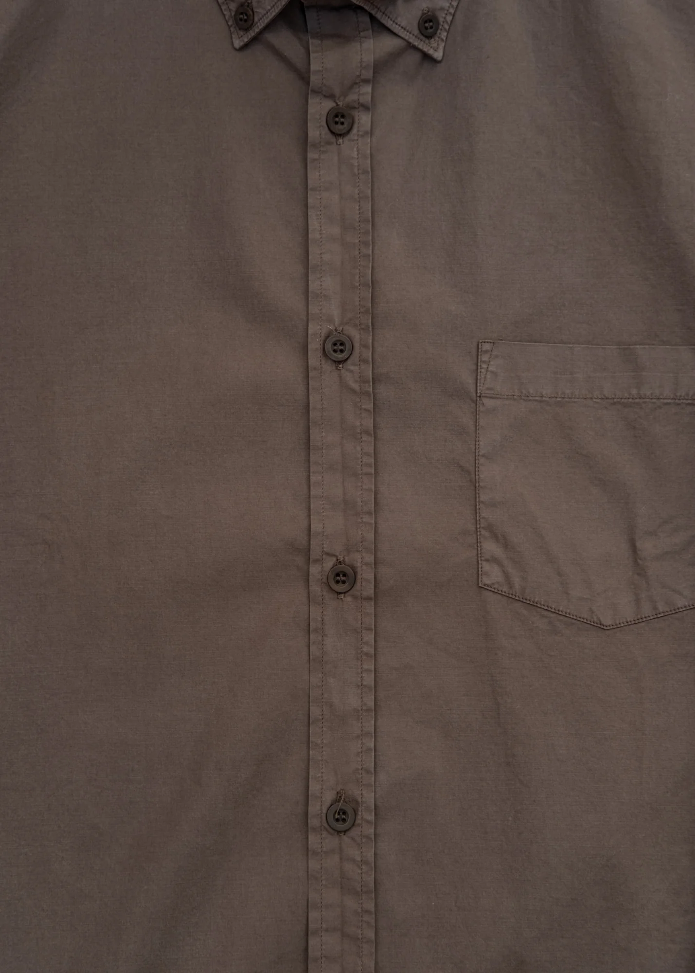 Button Down Poplin Shirt in Dark Cedar - Image 3
