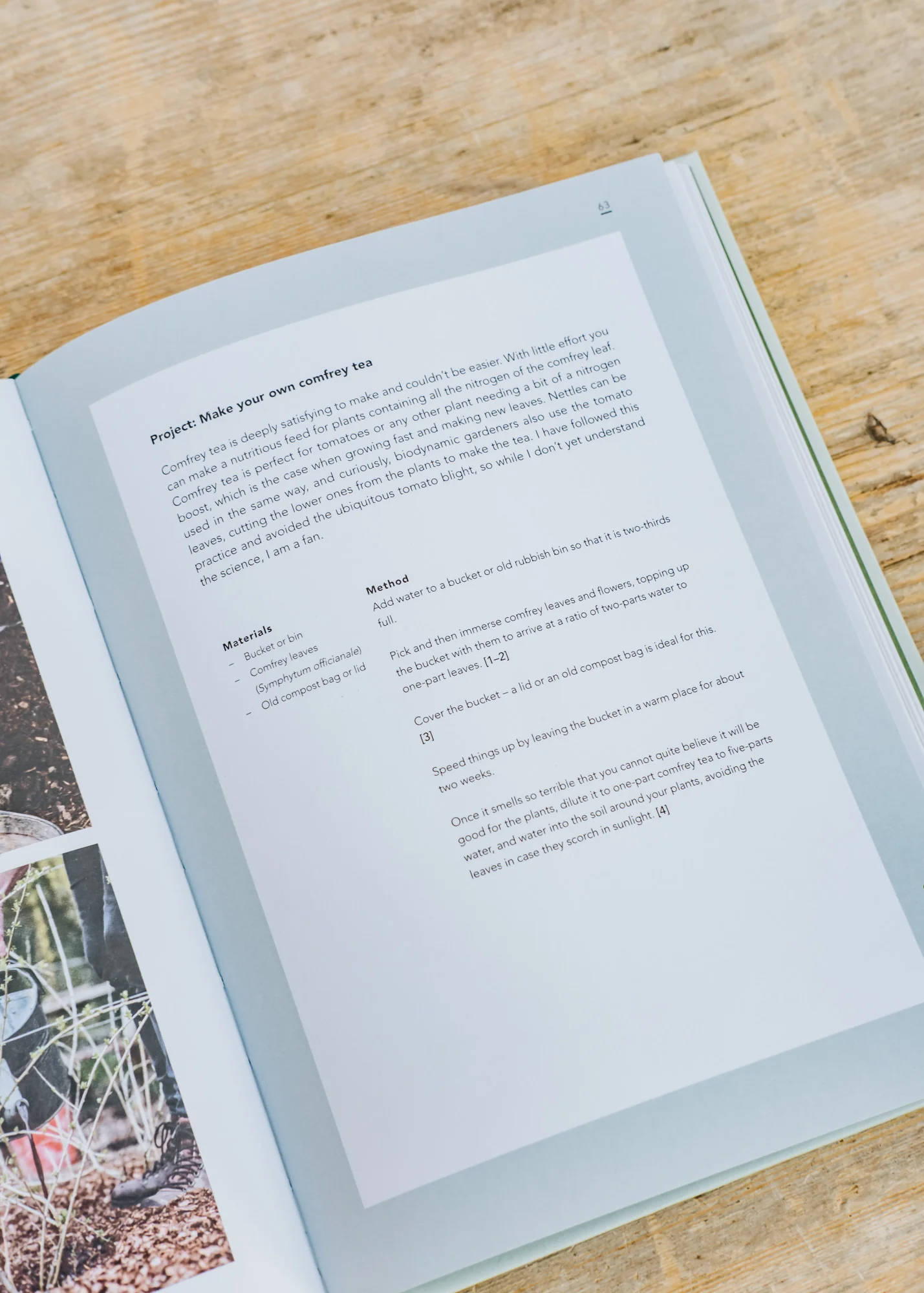 Sustainable Garden: Projects, insights and advice for the eco-conscious gardener  - Image 2
