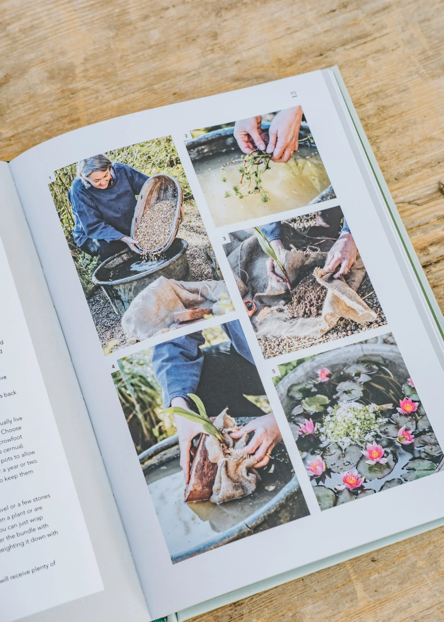 Sustainable Garden: Projects, insights and advice for the eco-conscious gardener  - Image 3