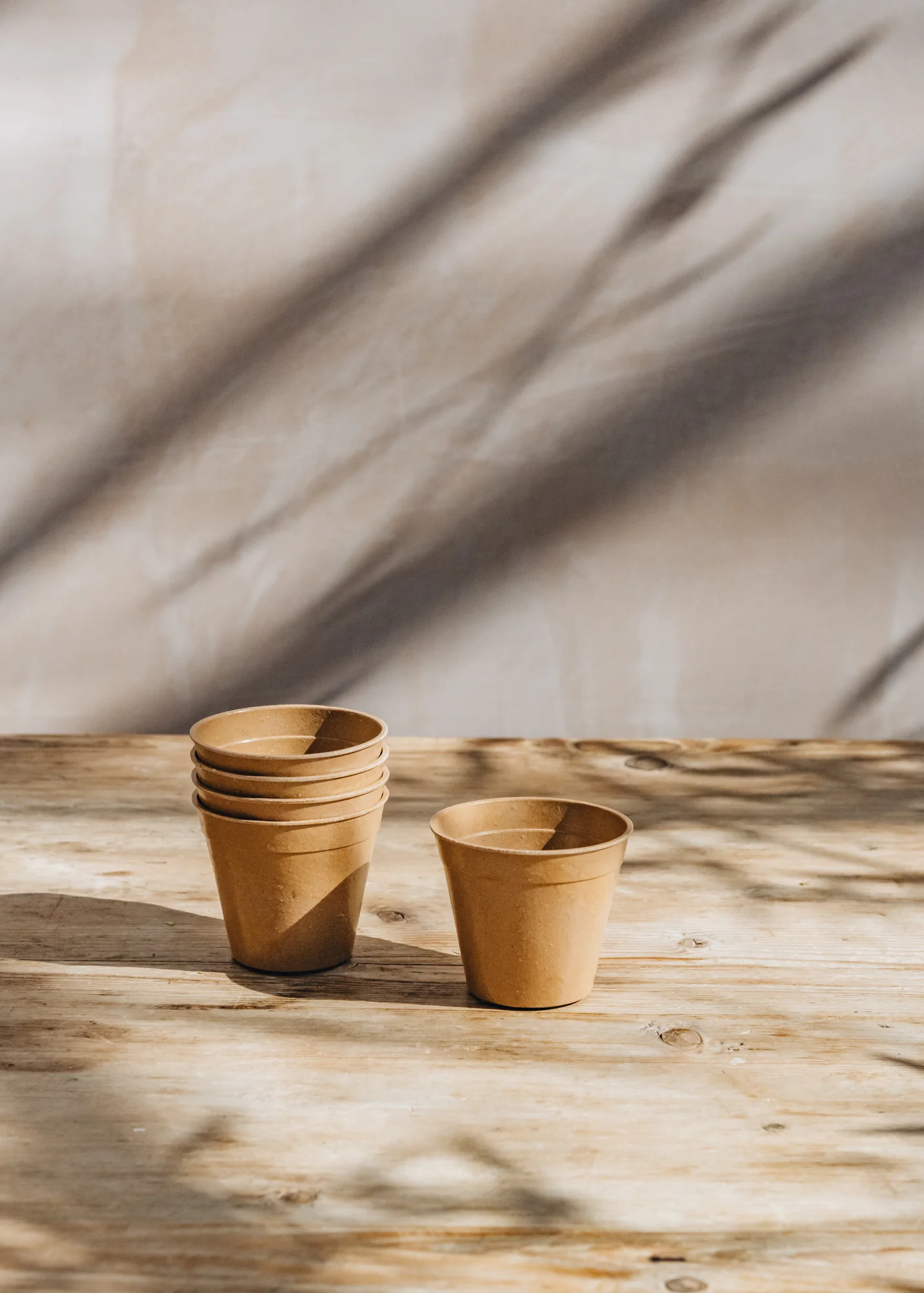 Terracotta Bamboo Nursery Pots, 3", Pack of Five