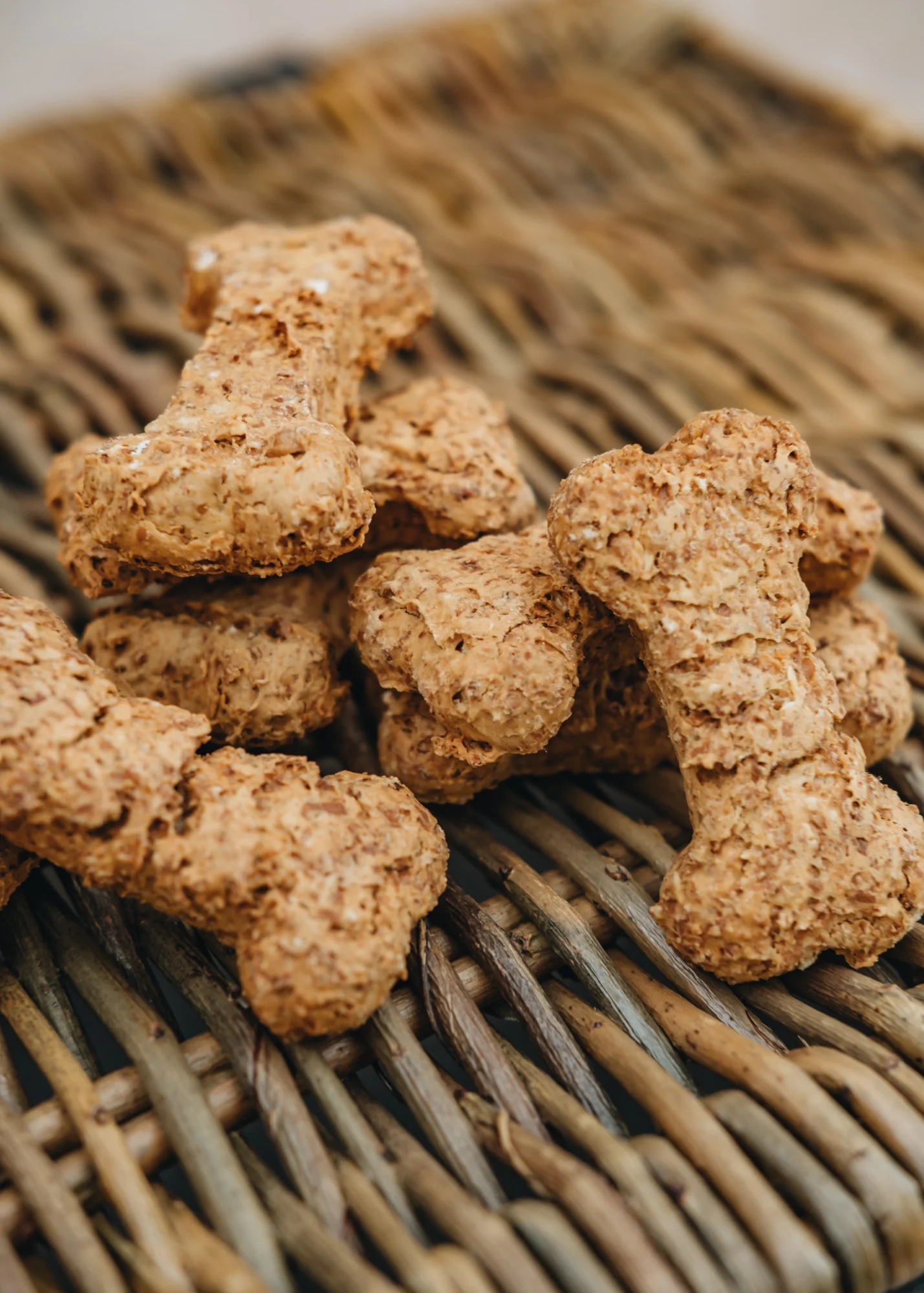 The Dog Hamper - Image 4