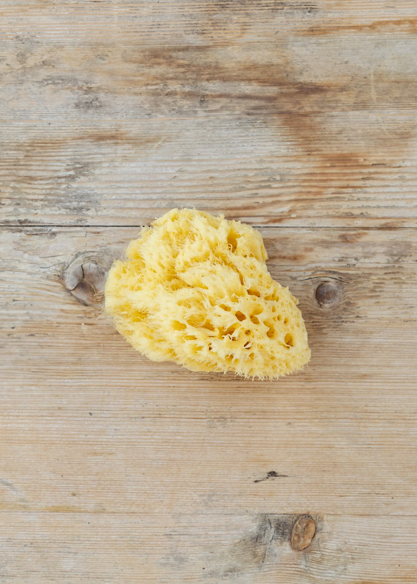 Honeycomb Bath Sea Sponge, 4-4.5"