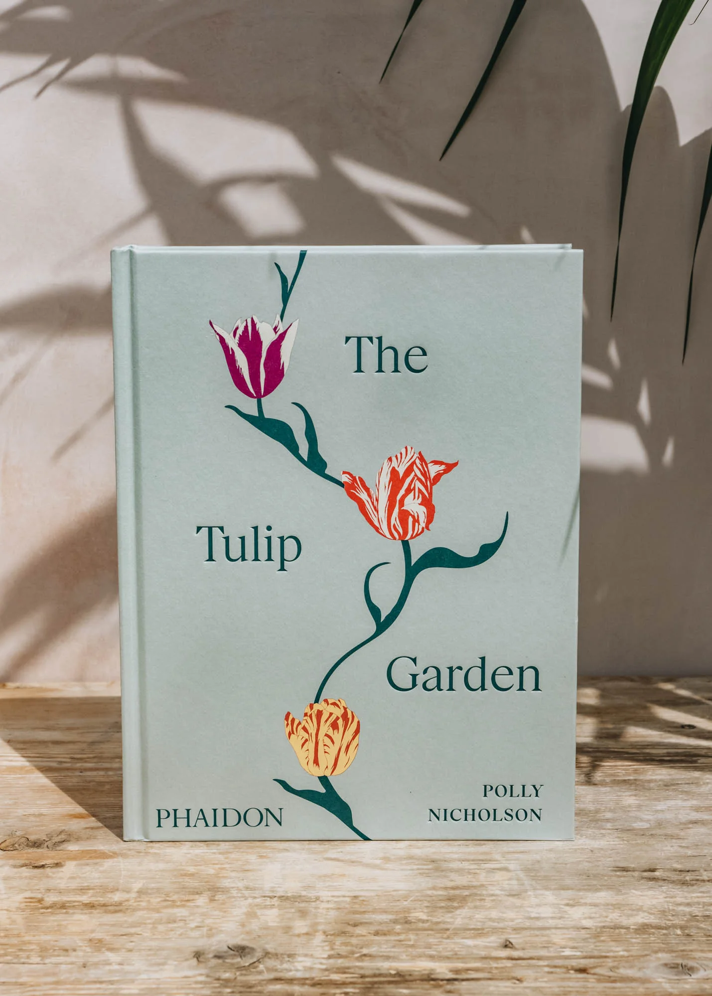 The Tulip Garden