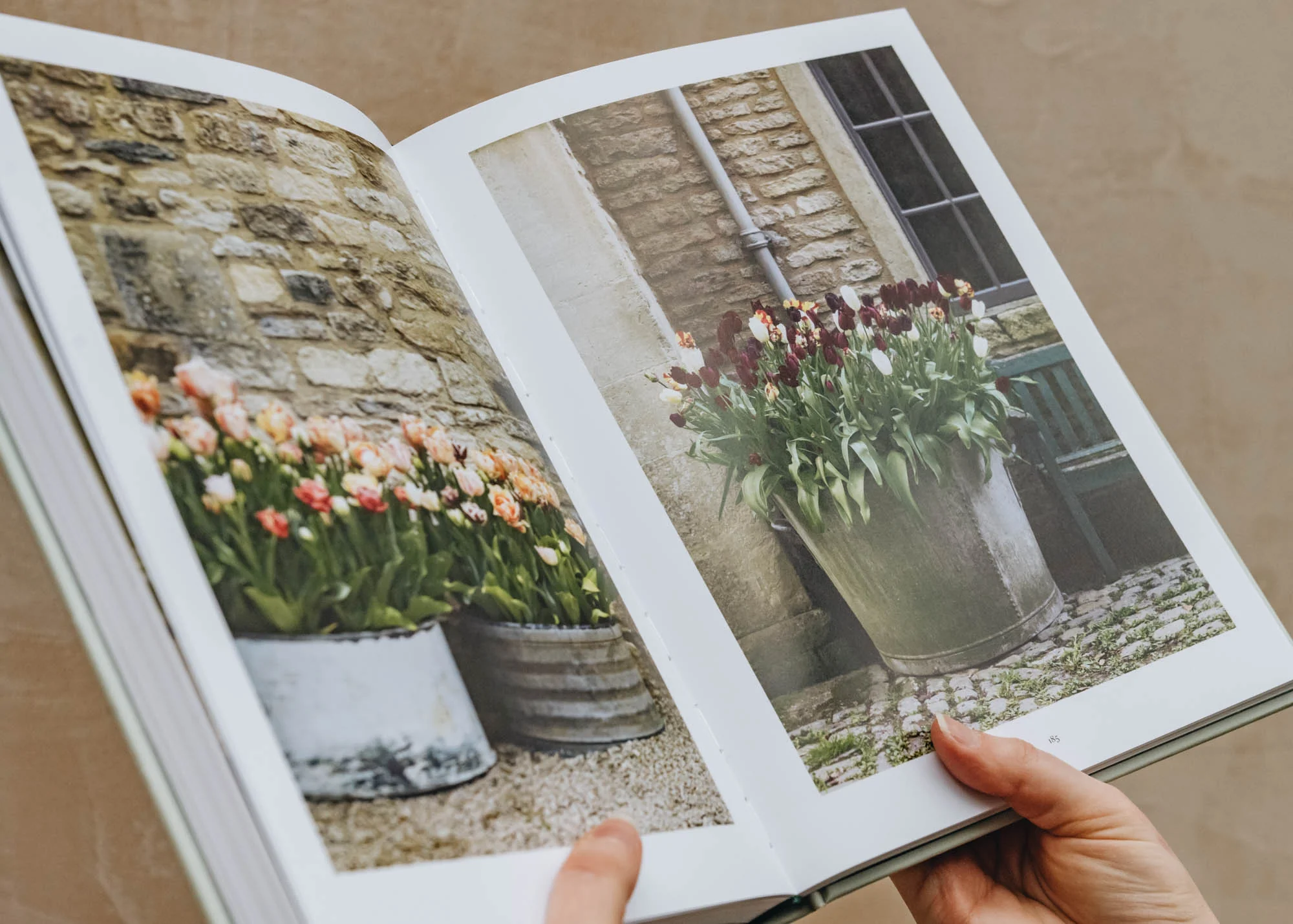 The Tulip Garden - Image 2