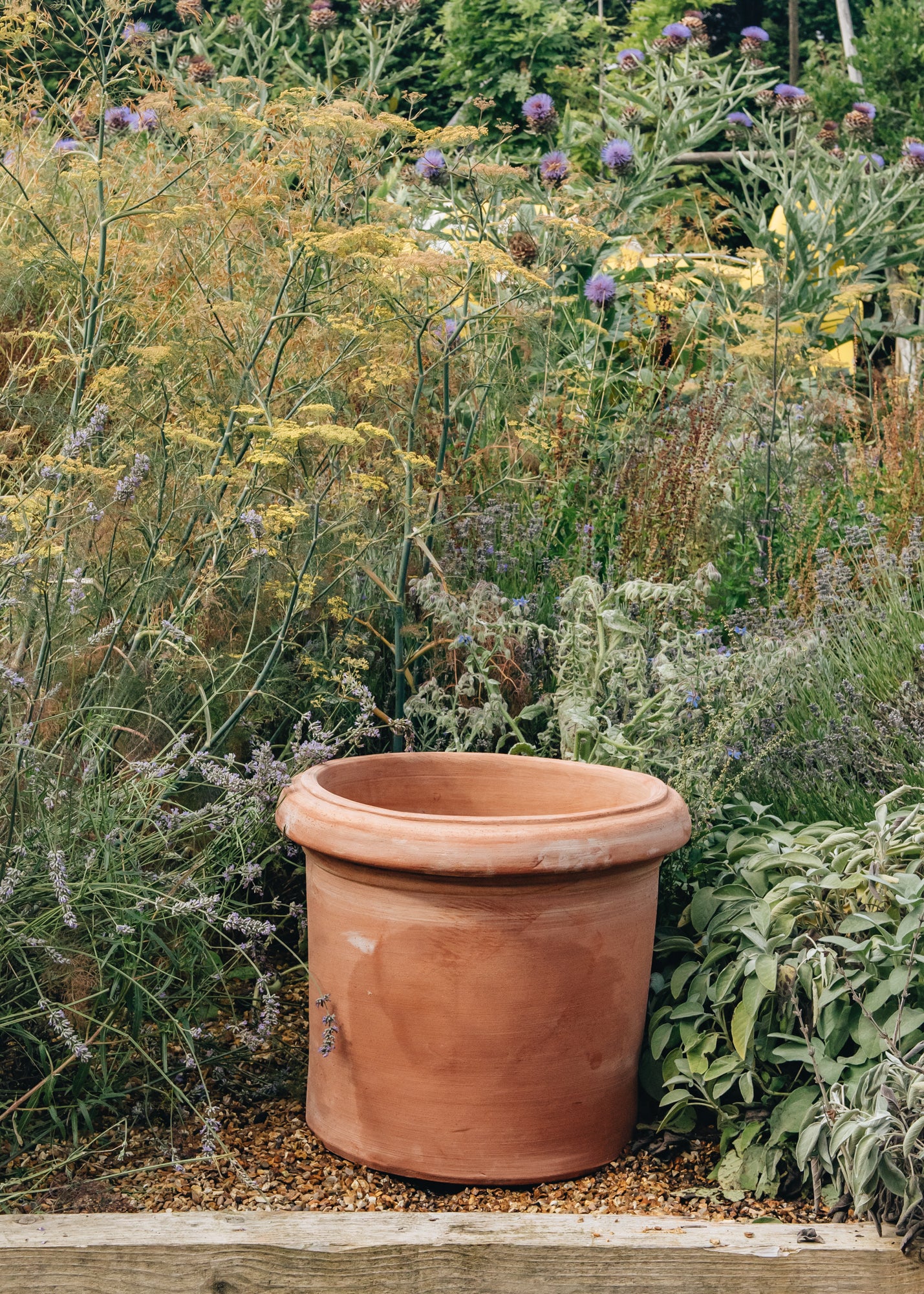 Trequanda Pots - Image 5
