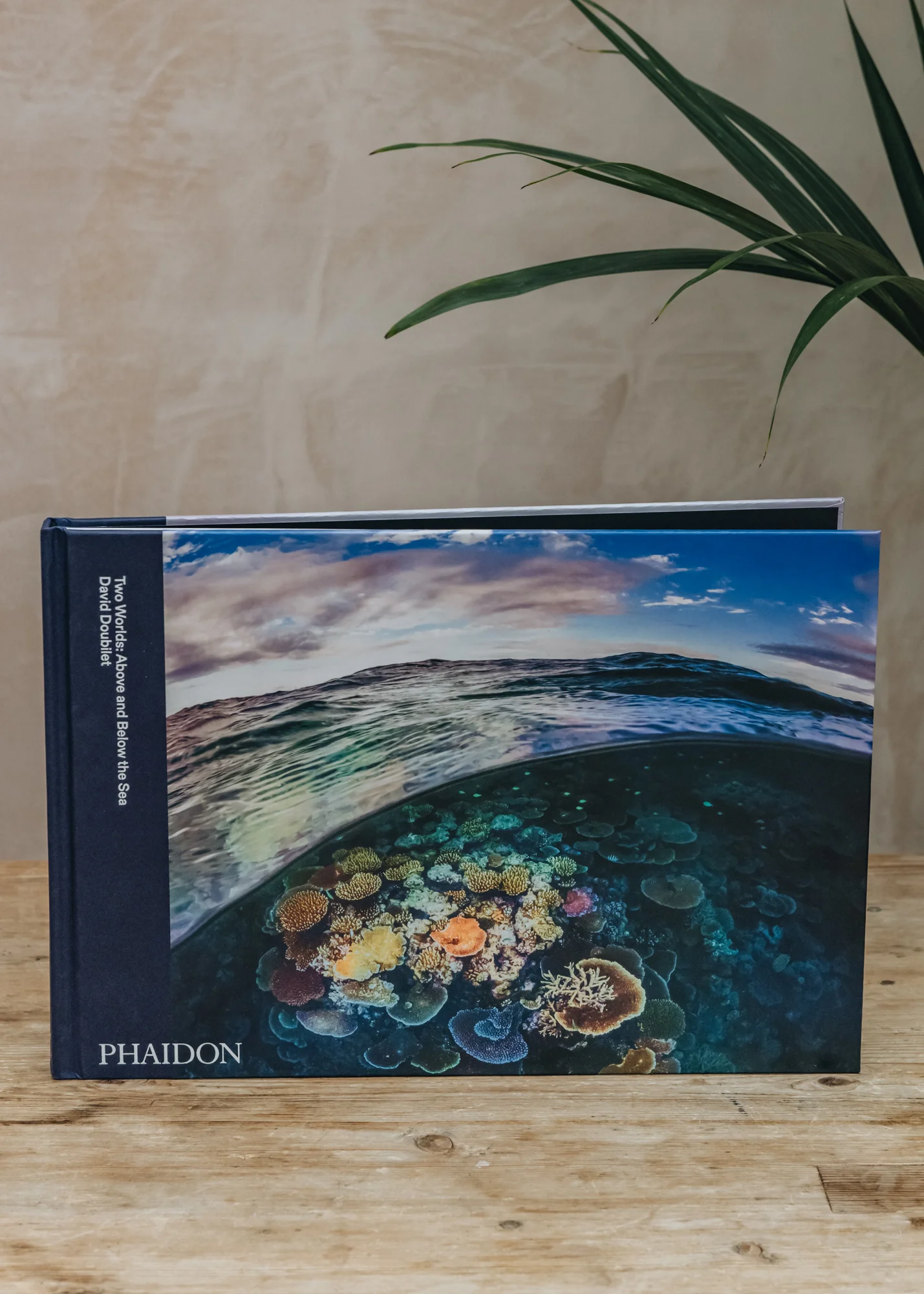 Two Worlds: Above and Below the Sea