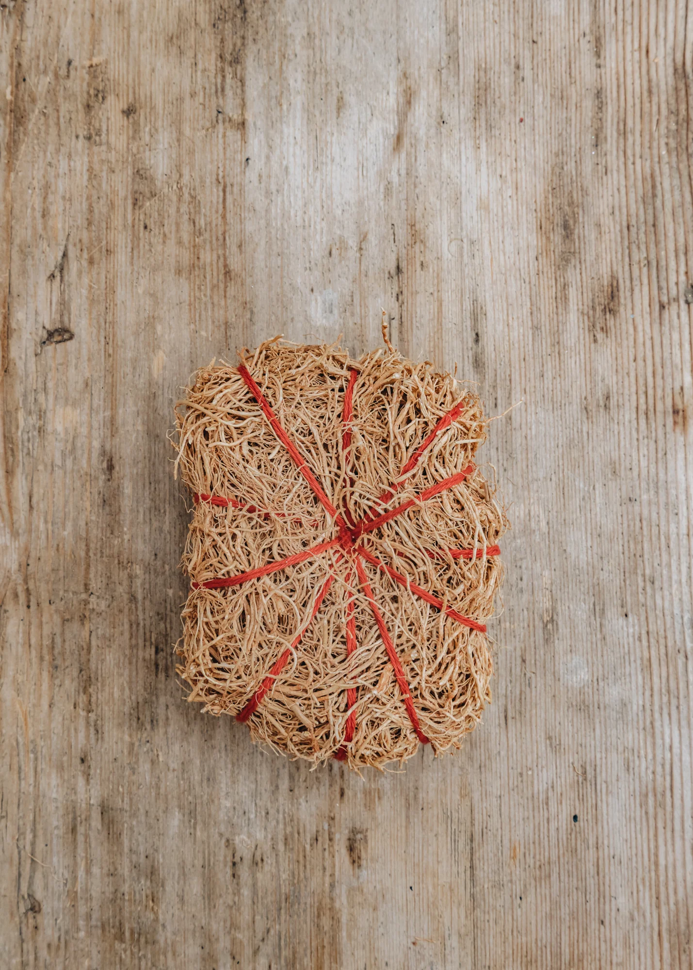 Vetiver Sponge, Rouge