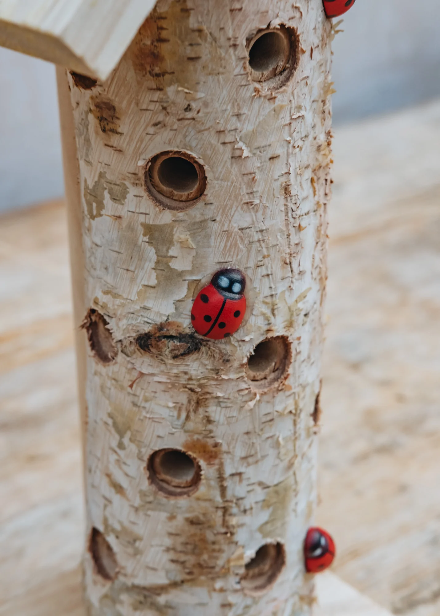 Ladybird Tower - Image 2