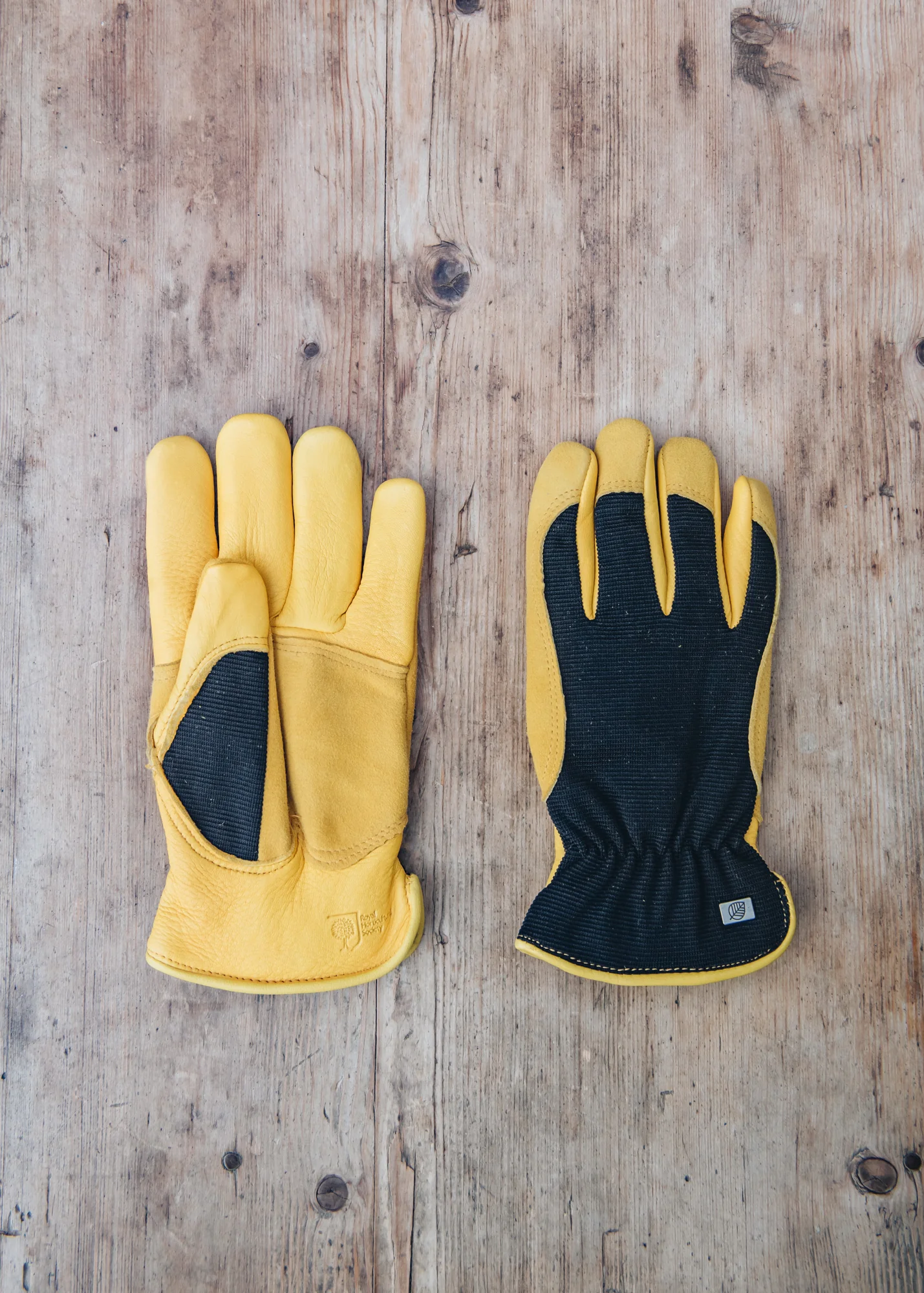 Winter Touch Gardening Gloves - Image 2