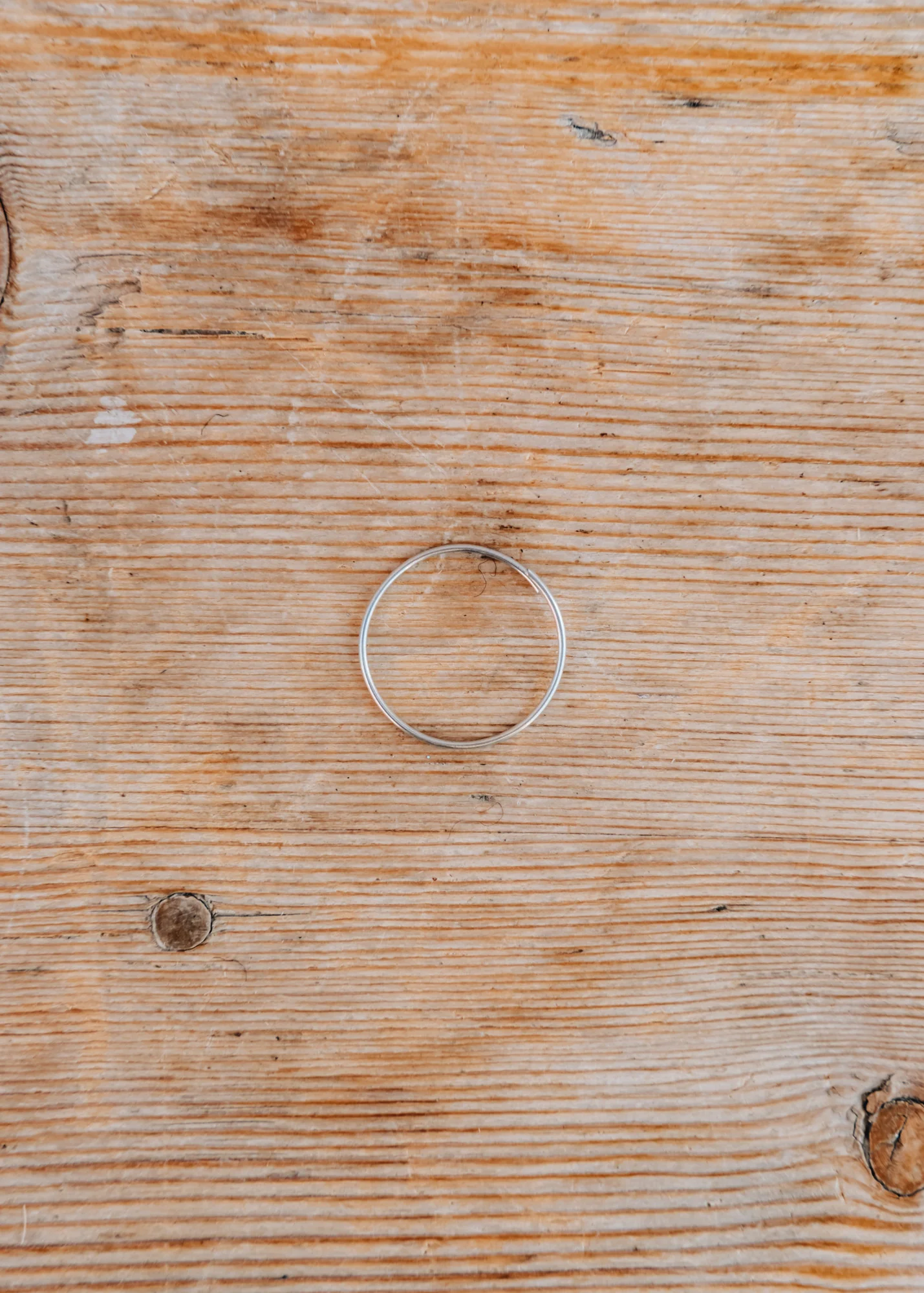 Zinc Coated Plant Rings - Image 2